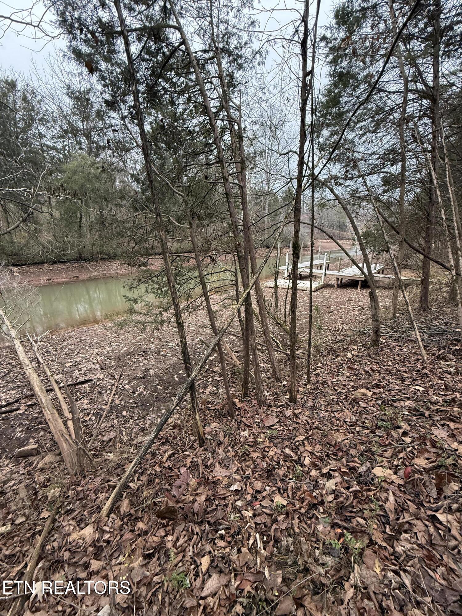 159 Bat Creek Shores Lane, Vonore, TN - Fort Loudoun and Tellico Lake Real Estate - Image# 10