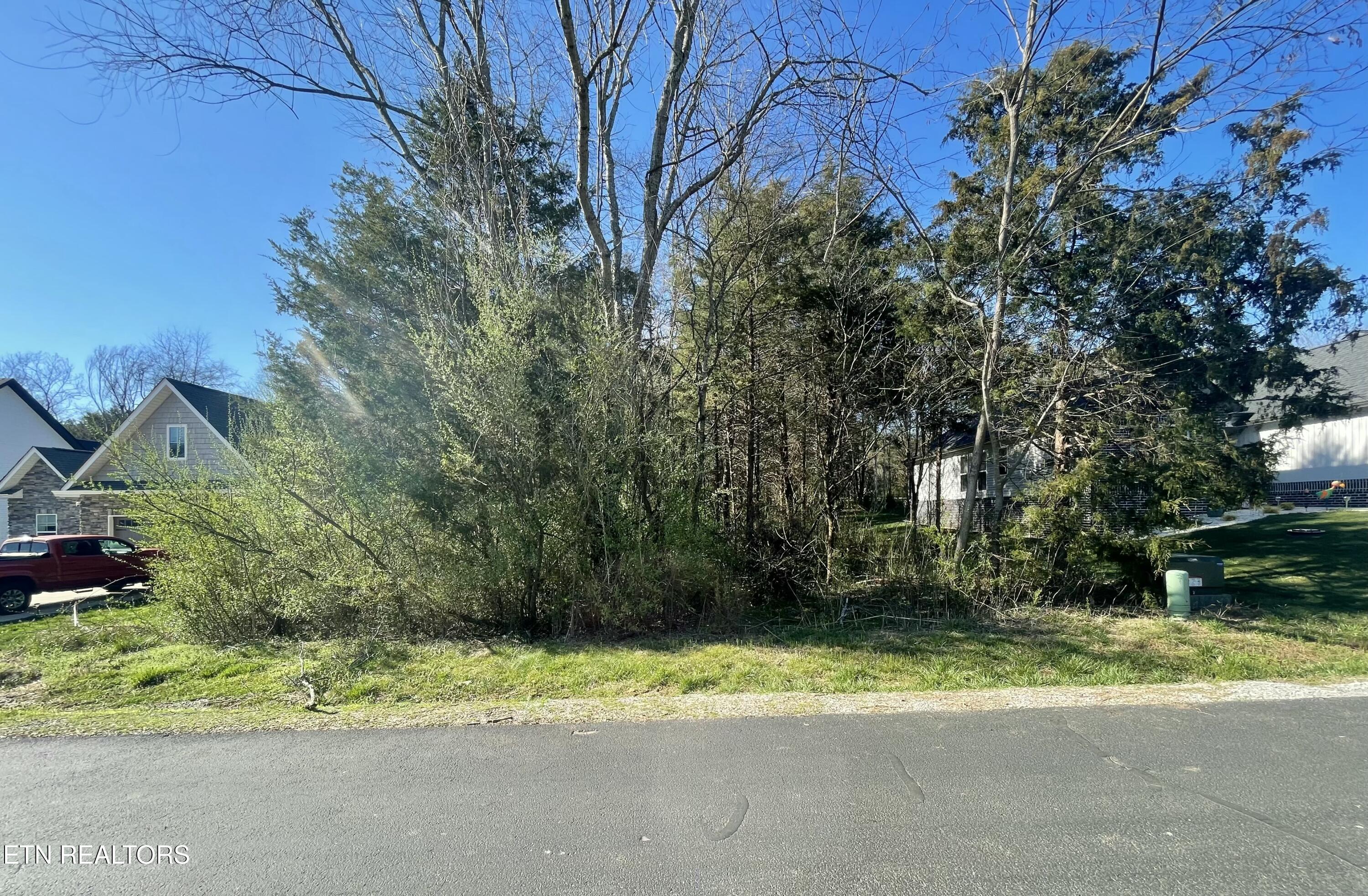 120 Tsuhdatsi Way, Loudon, TN - Fort Loudoun and Tellico Lake Real Estate - Image# 2