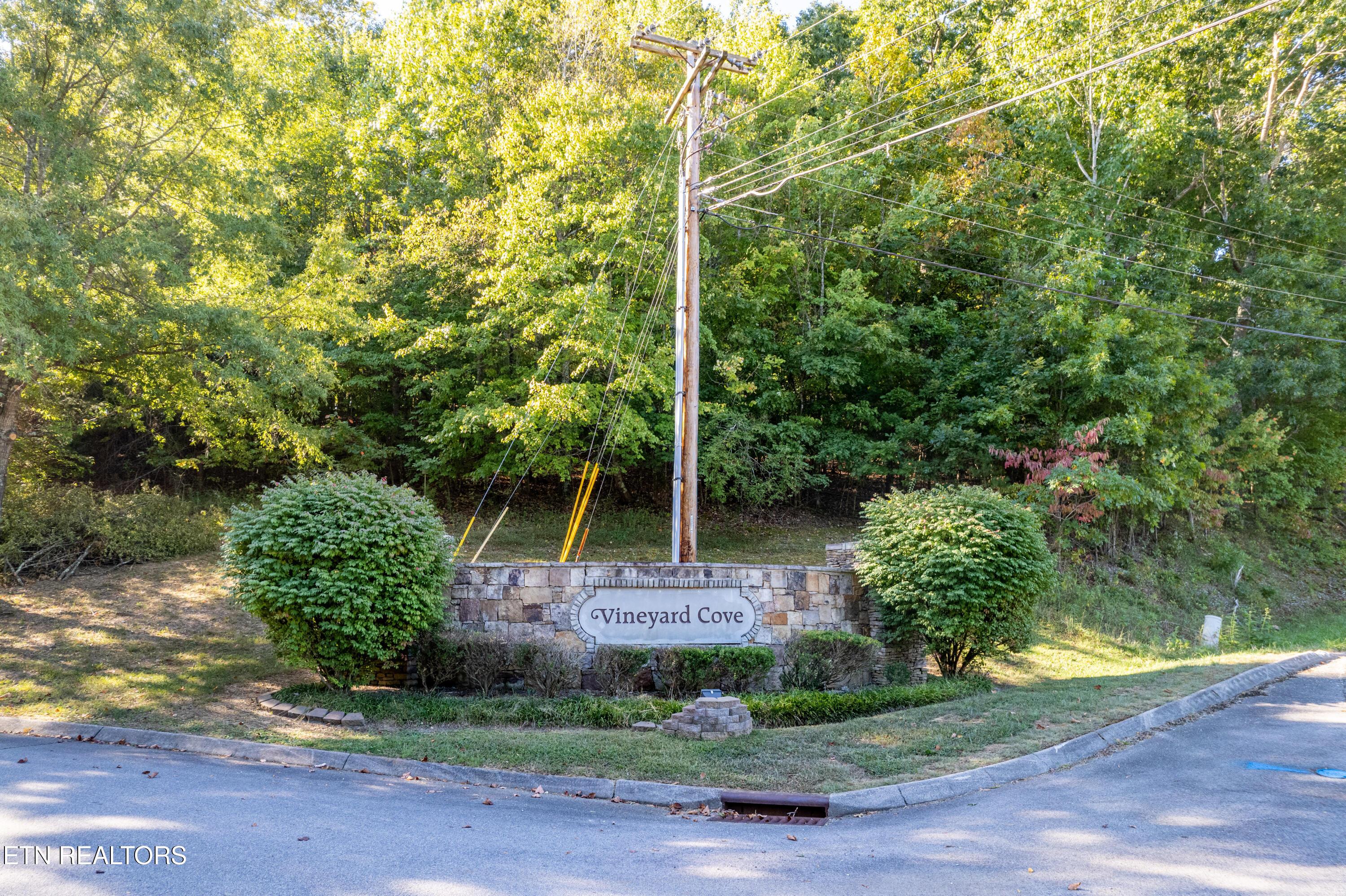 110 Vineyard Cove Drive, Loudon, TN - Fort Loudoun and Tellico Lake Real Estate - Image# 8