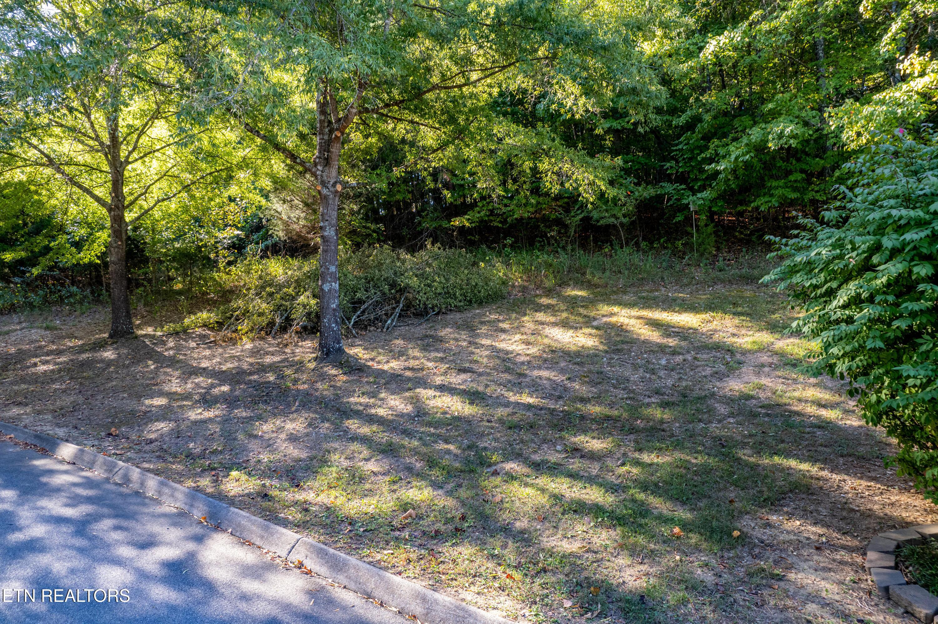 110 Vineyard Cove Drive, Loudon, TN - Fort Loudoun and Tellico Lake Real Estate - Image# 7