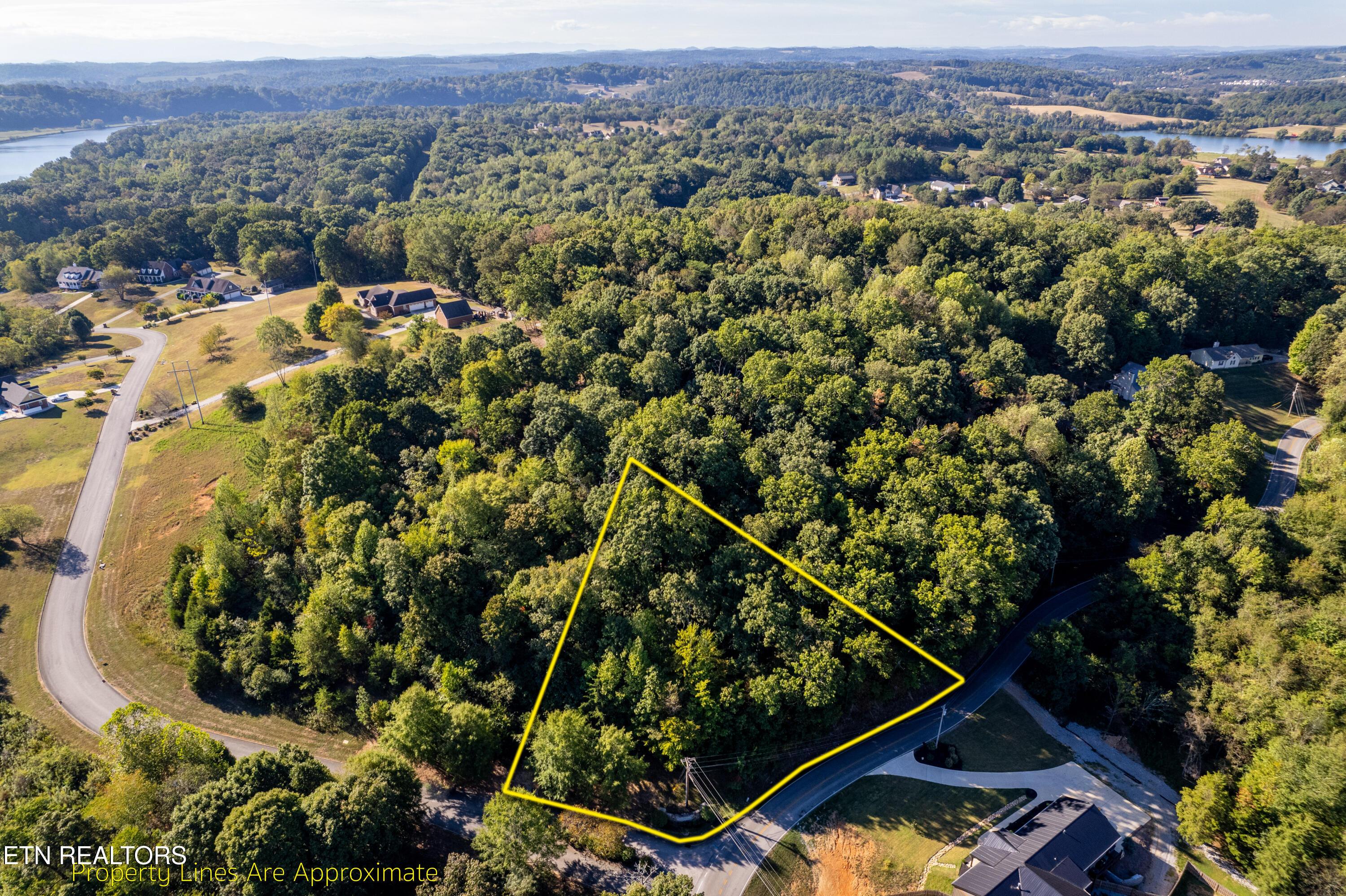 110 Vineyard Cove Drive, Loudon, TN - Fort Loudoun and Tellico Lake Real Estate - Image# 6