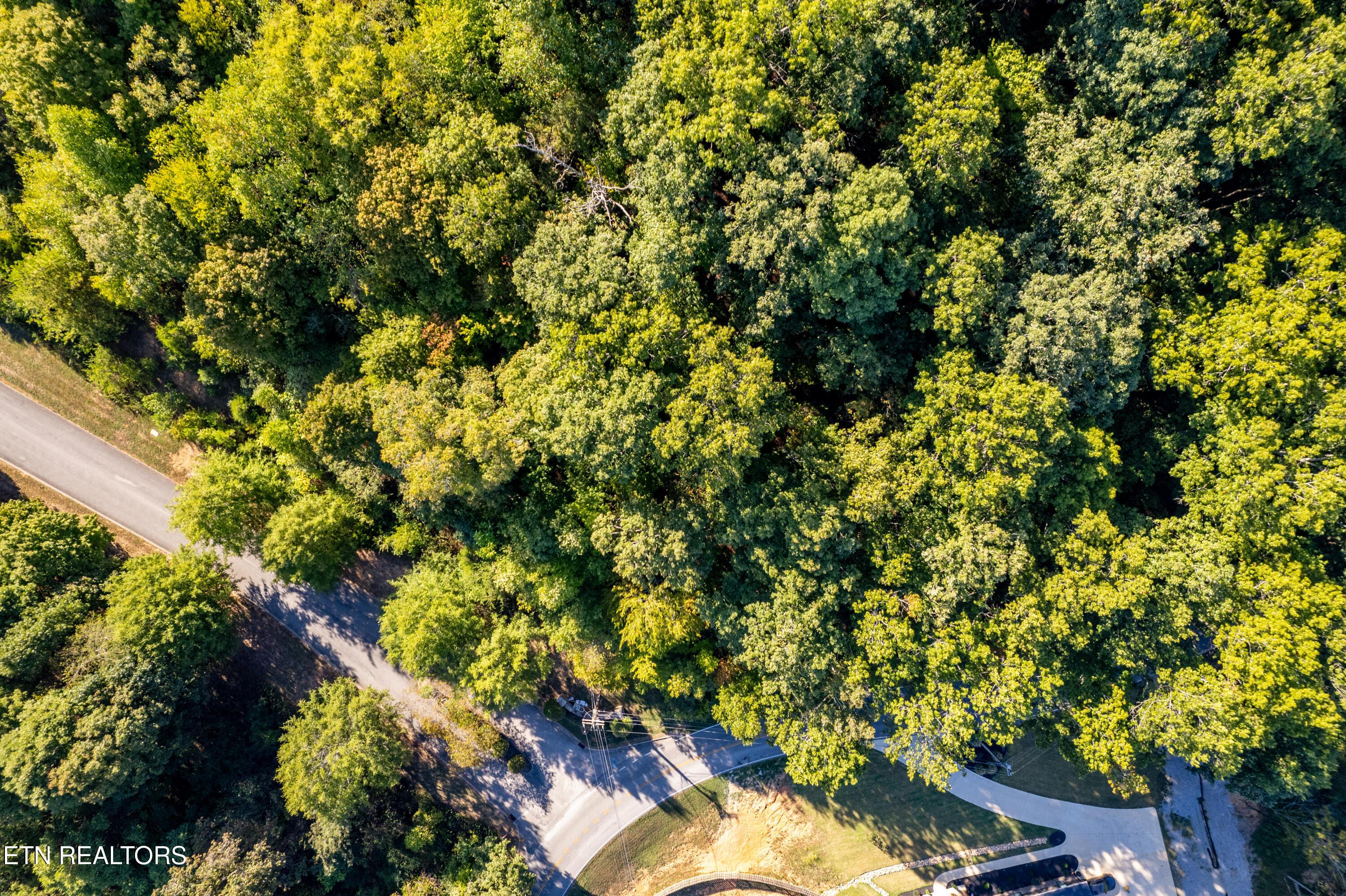 110 Vineyard Cove Drive, Loudon, TN - Fort Loudoun and Tellico Lake Real Estate - Image# 13