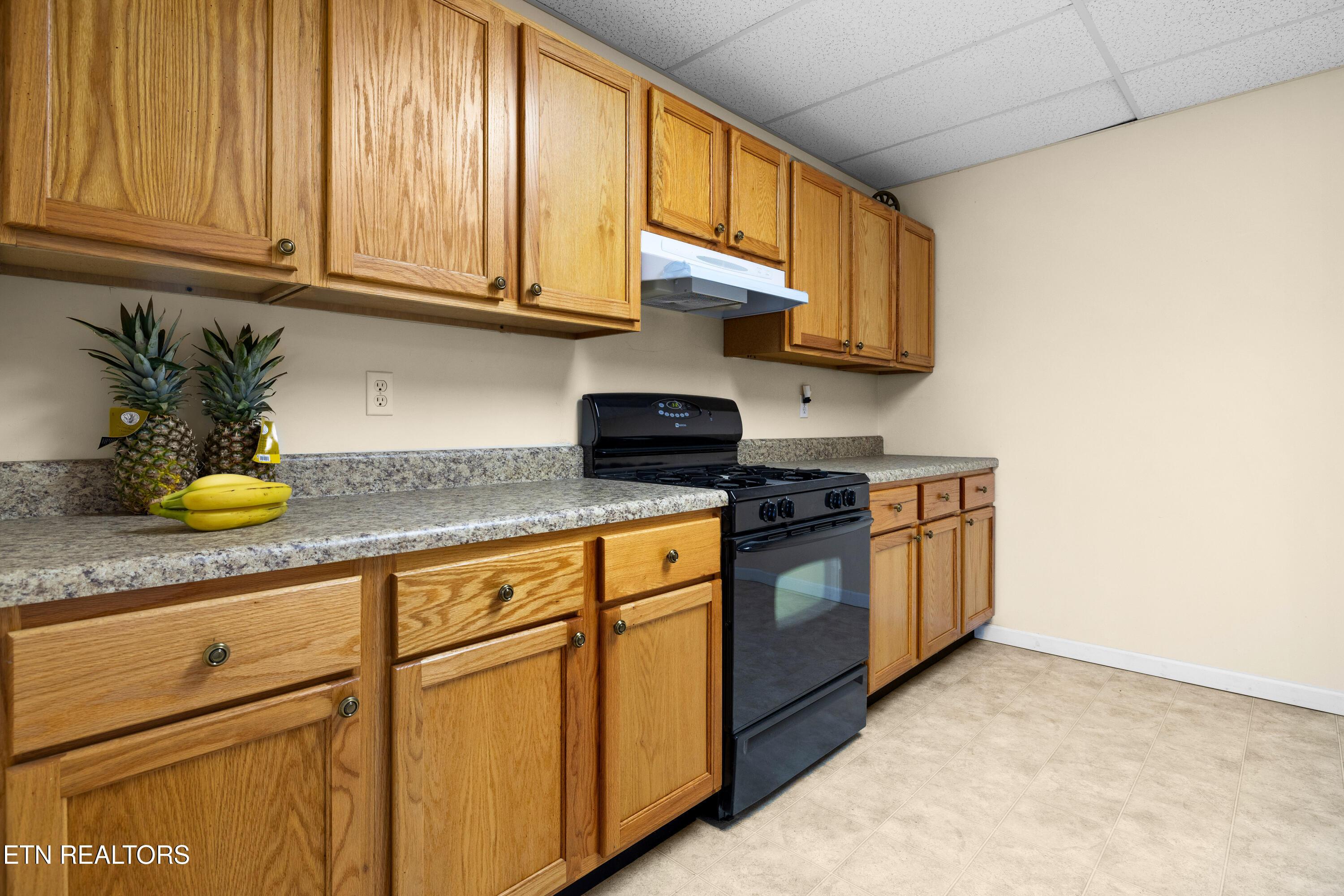 1854 Royal Harbor Drive, Knoxville, TN - Fort Loudoun and Tellico Lake Real Estate - Image# 37