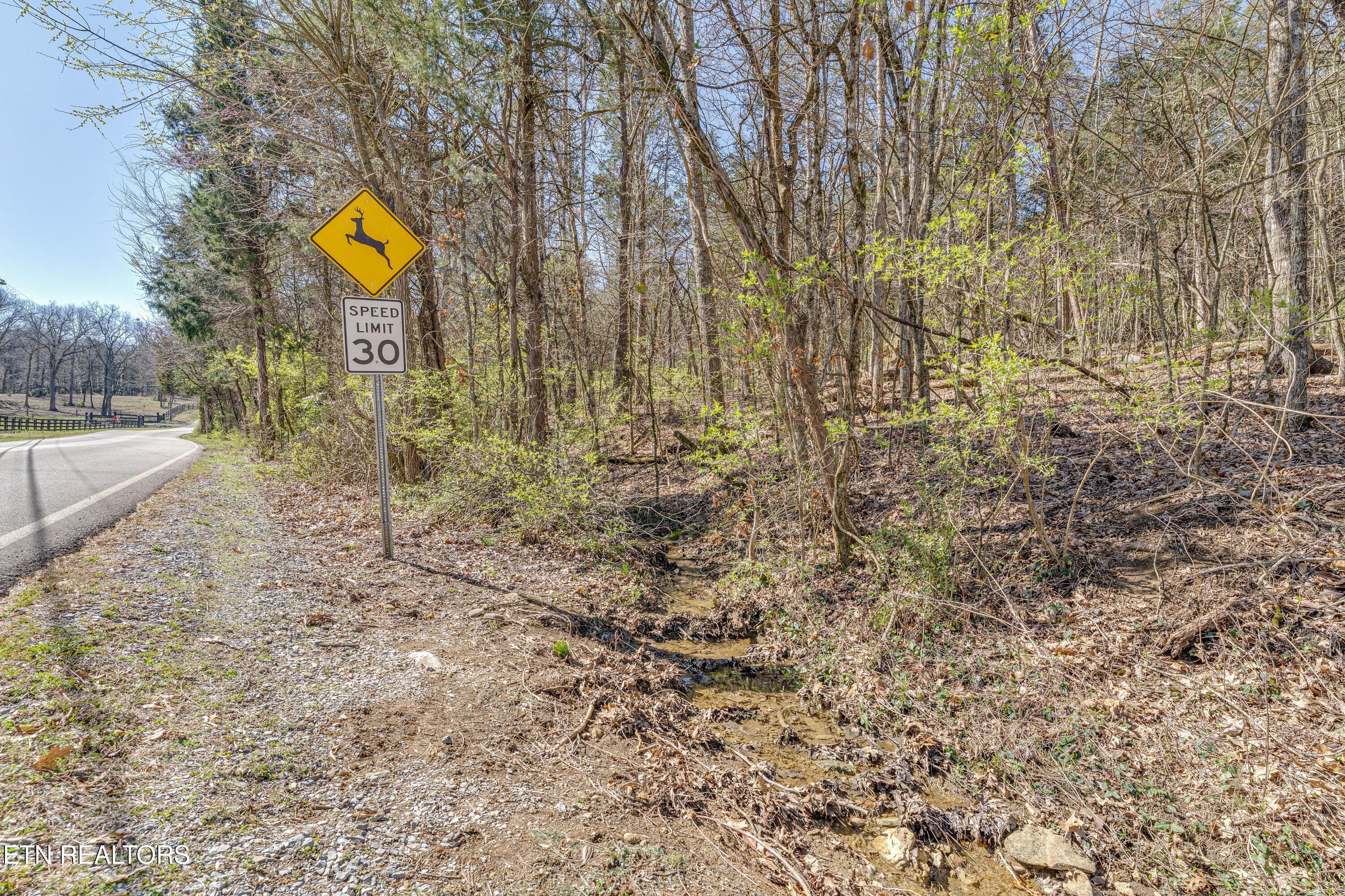 3725 Haven Hill Rd, Louisville, TN - Fort Loudoun and Tellico Lake Real Estate - Image# 11