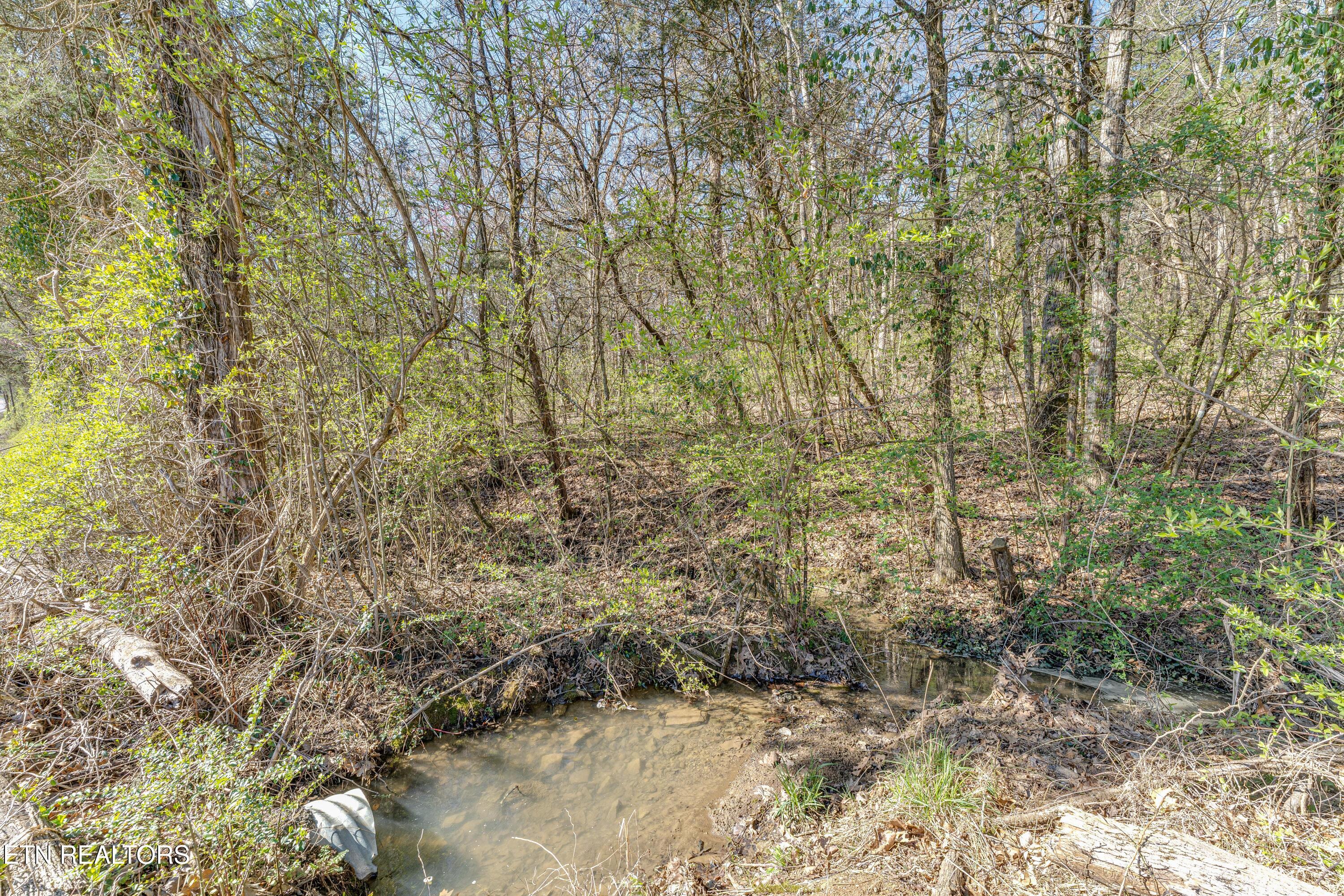 3725 Haven Hill Rd, Louisville, TN - Fort Loudoun and Tellico Lake Real Estate - Image# 13