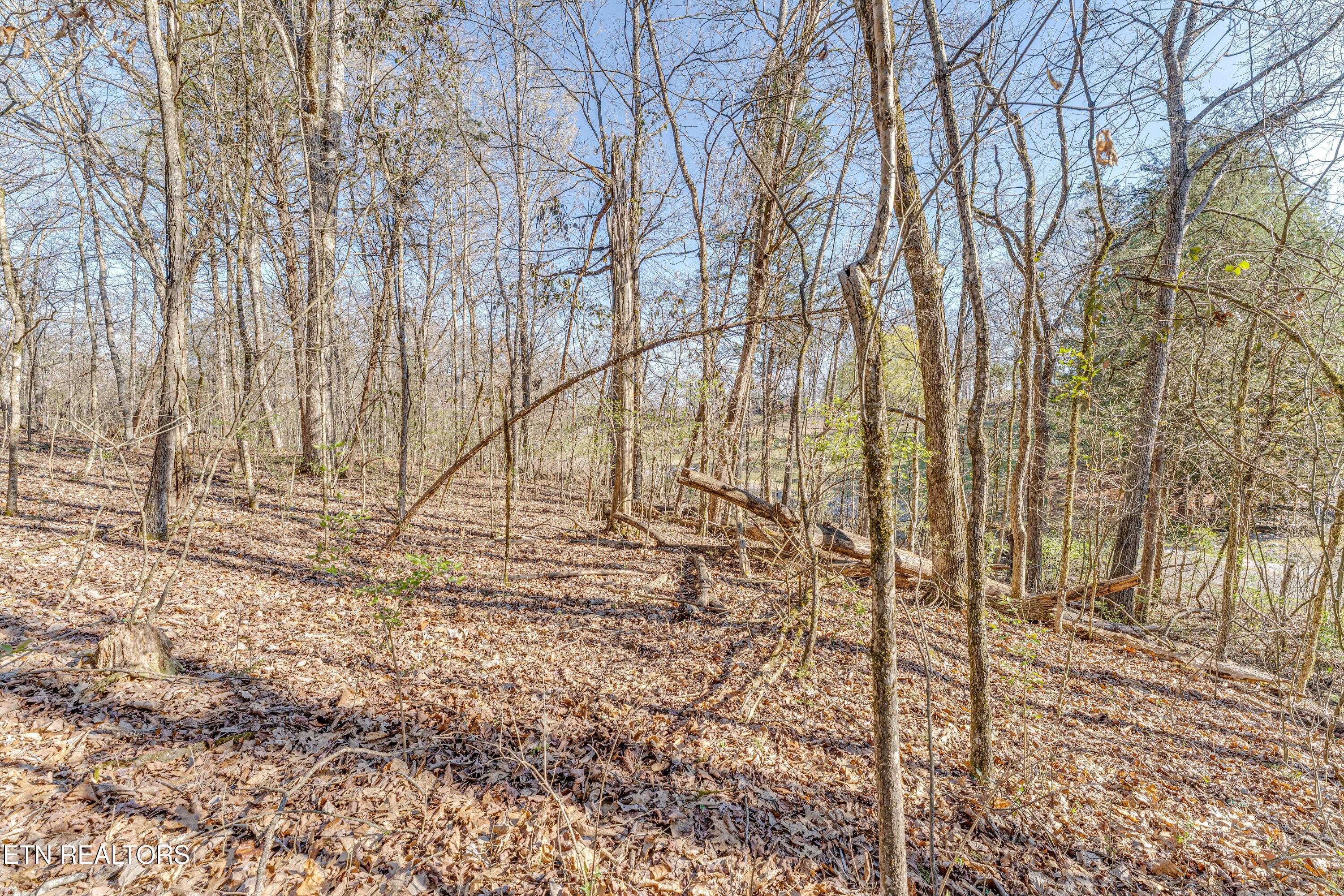 3725 Haven Hill Rd, Louisville, TN - Fort Loudoun and Tellico Lake Real Estate - Image# 16