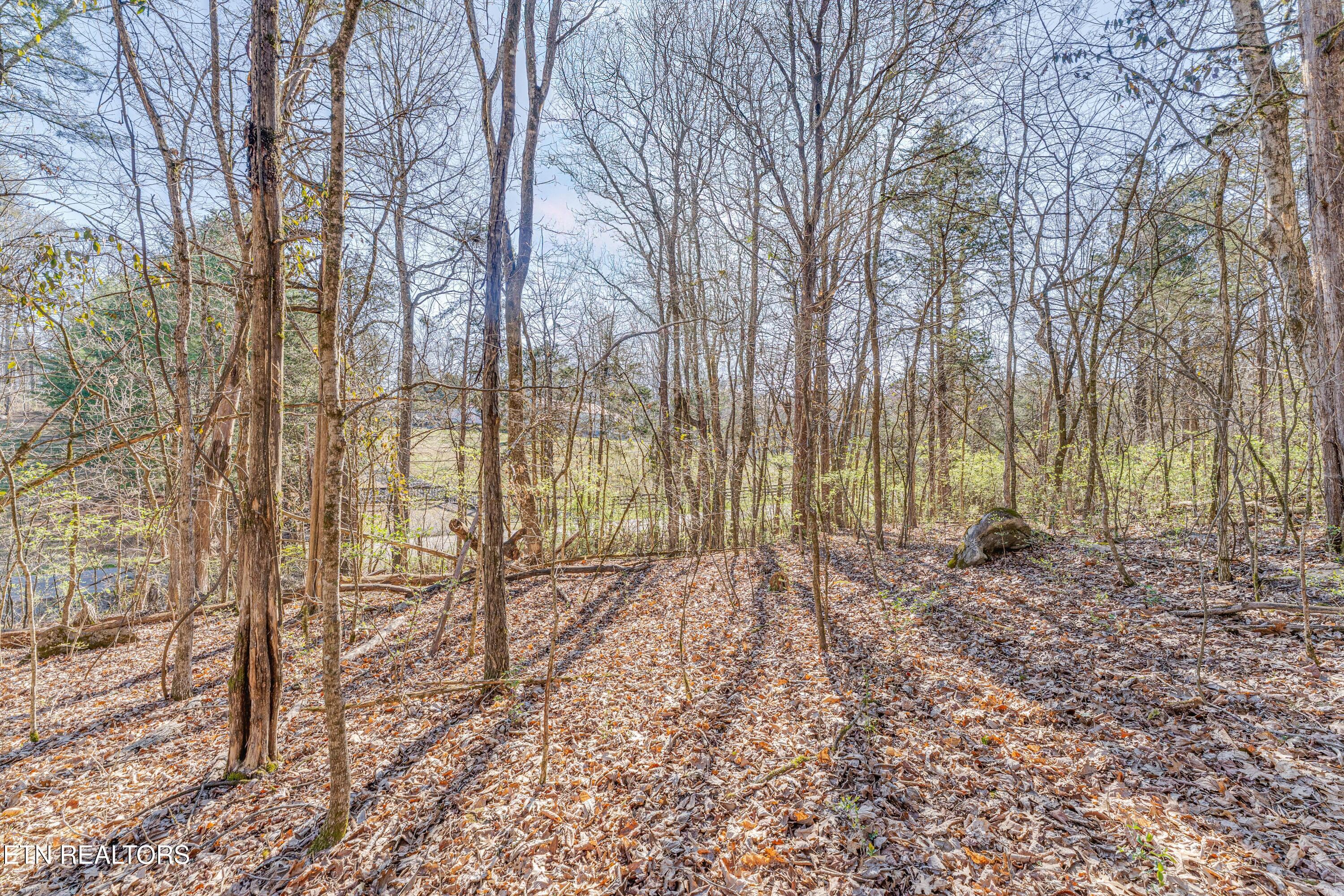 3725 Haven Hill Rd, Louisville, TN - Fort Loudoun and Tellico Lake Real Estate - Image# 17