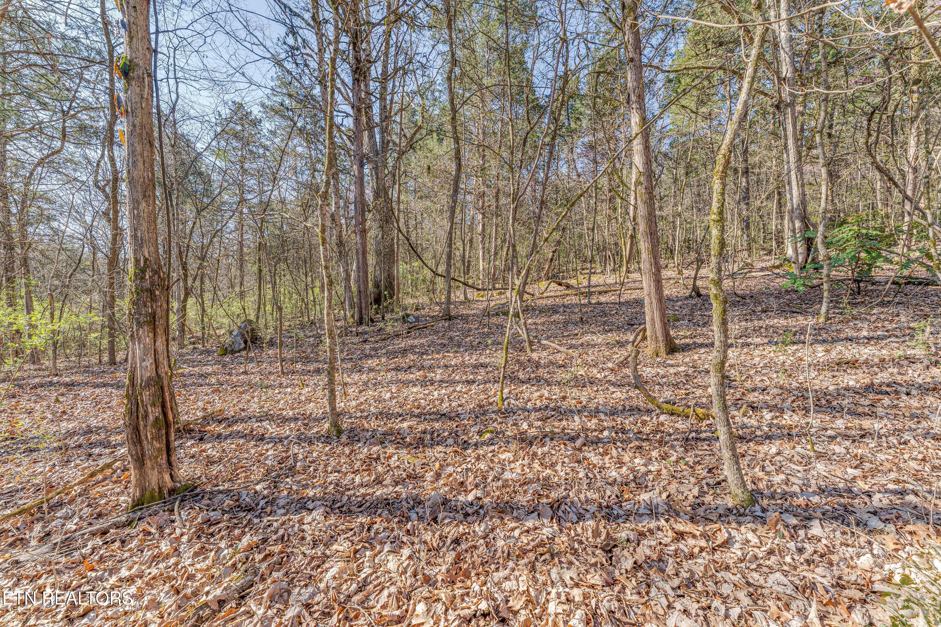 3725 Haven Hill Rd, Louisville, TN - Fort Loudoun and Tellico Lake Real Estate - Image# 18