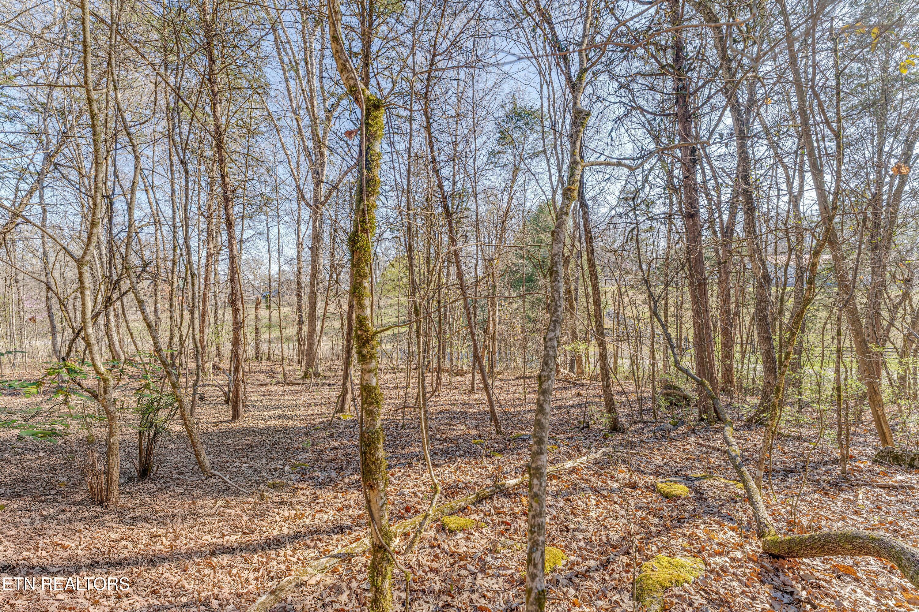 3725 Haven Hill Rd, Louisville, TN - Fort Loudoun and Tellico Lake Real Estate - Image# 19