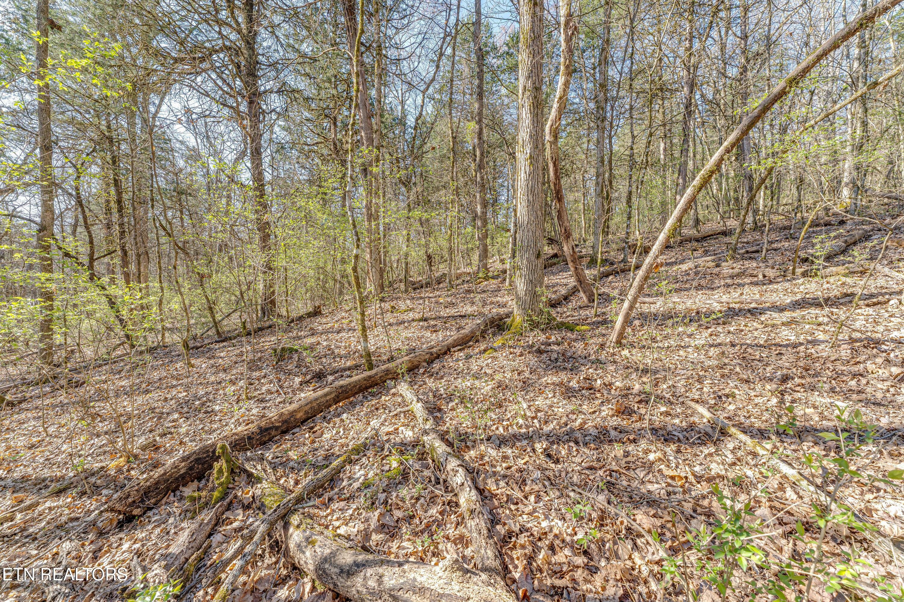 3725 Haven Hill Rd, Louisville, TN - Fort Loudoun and Tellico Lake Real Estate - Image# 20