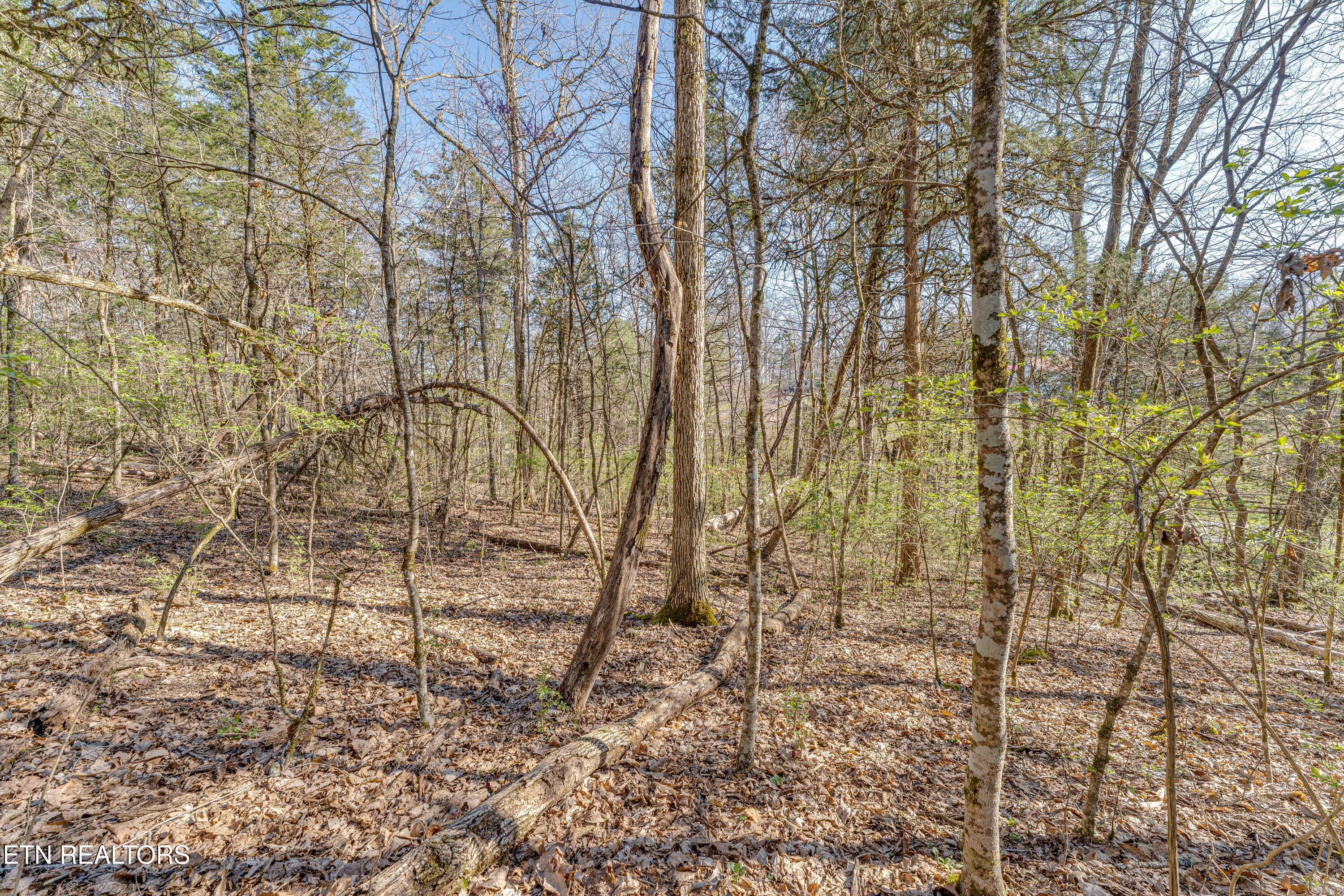 3725 Haven Hill Rd, Louisville, TN - Fort Loudoun and Tellico Lake Real Estate - Image# 21