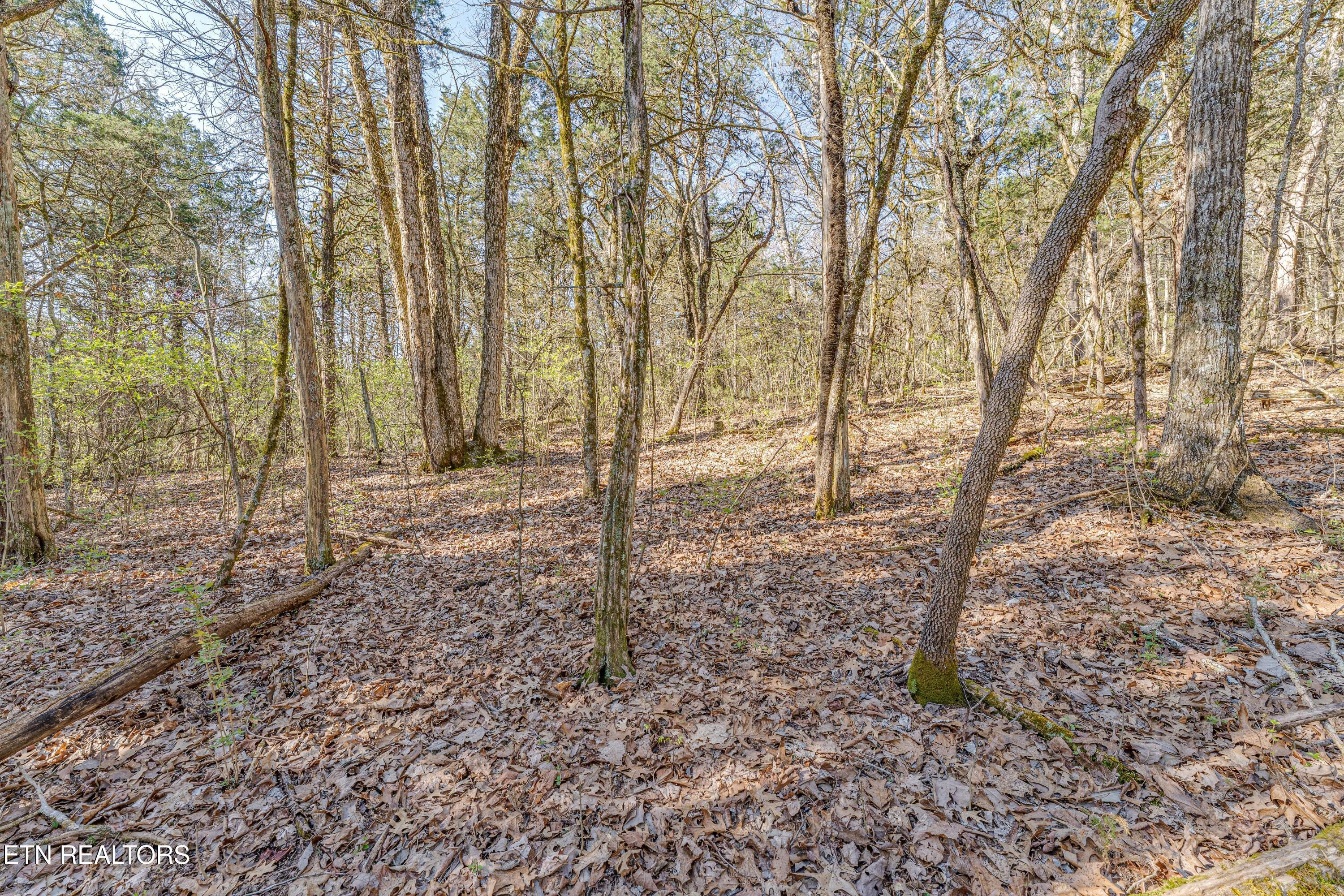 3725 Haven Hill Rd, Louisville, TN - Fort Loudoun and Tellico Lake Real Estate - Image# 22