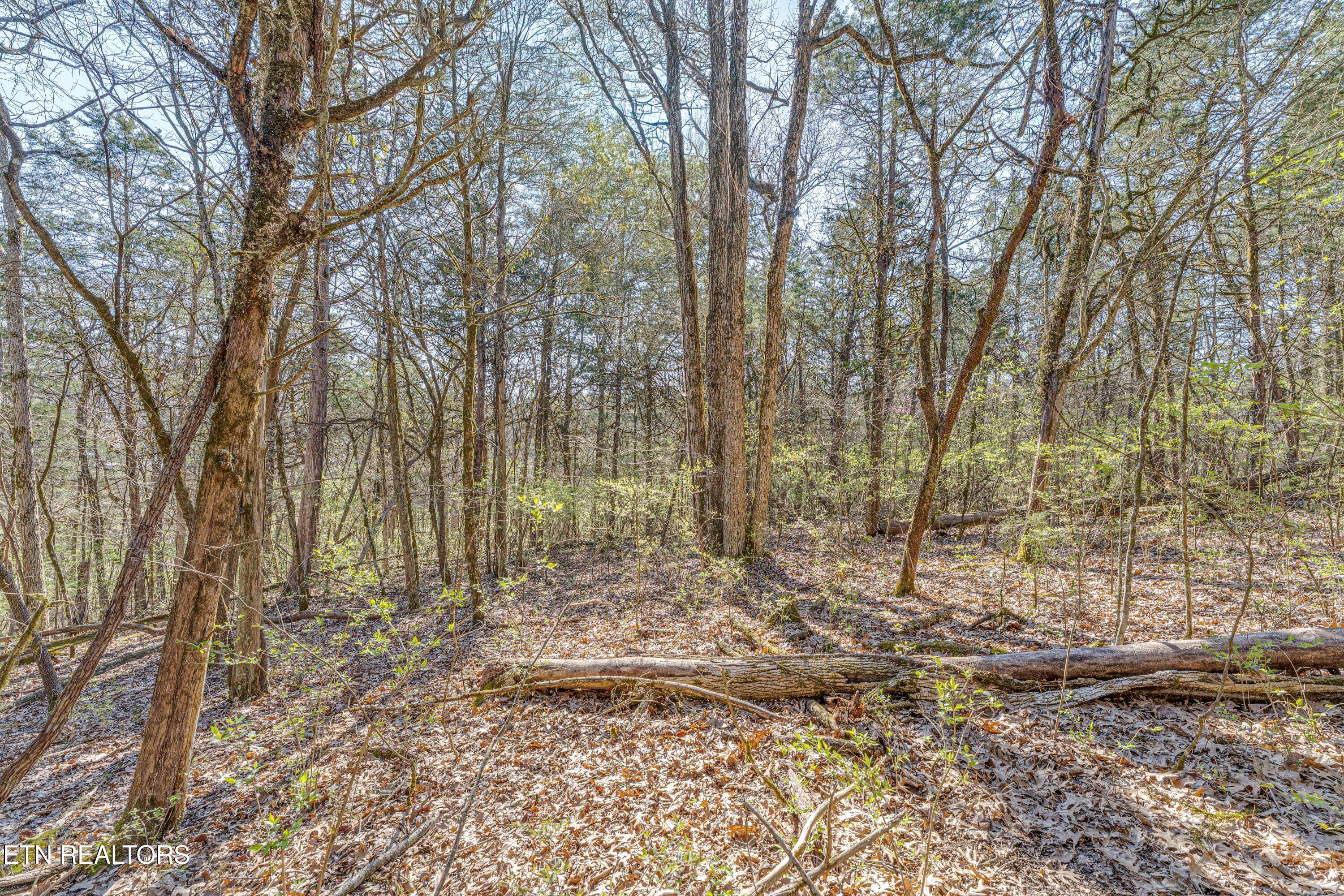 3725 Haven Hill Rd, Louisville, TN - Fort Loudoun and Tellico Lake Real Estate - Image# 23