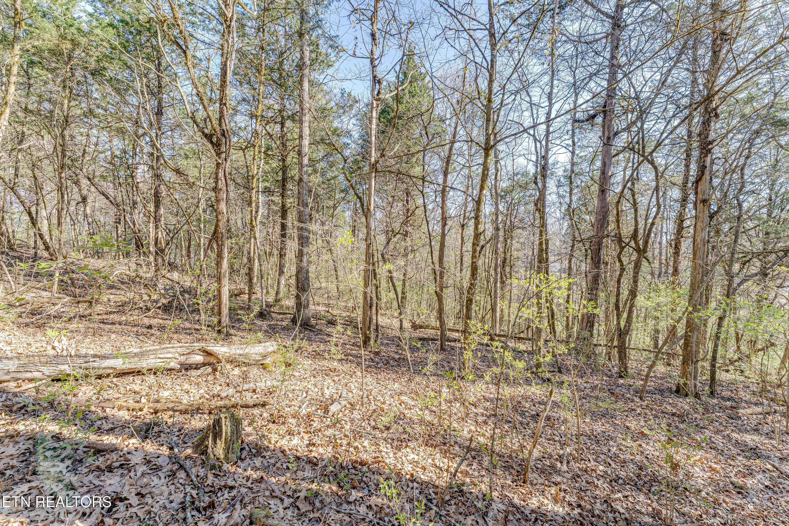 3725 Haven Hill Rd, Louisville, TN - Fort Loudoun and Tellico Lake Real Estate - Image# 24