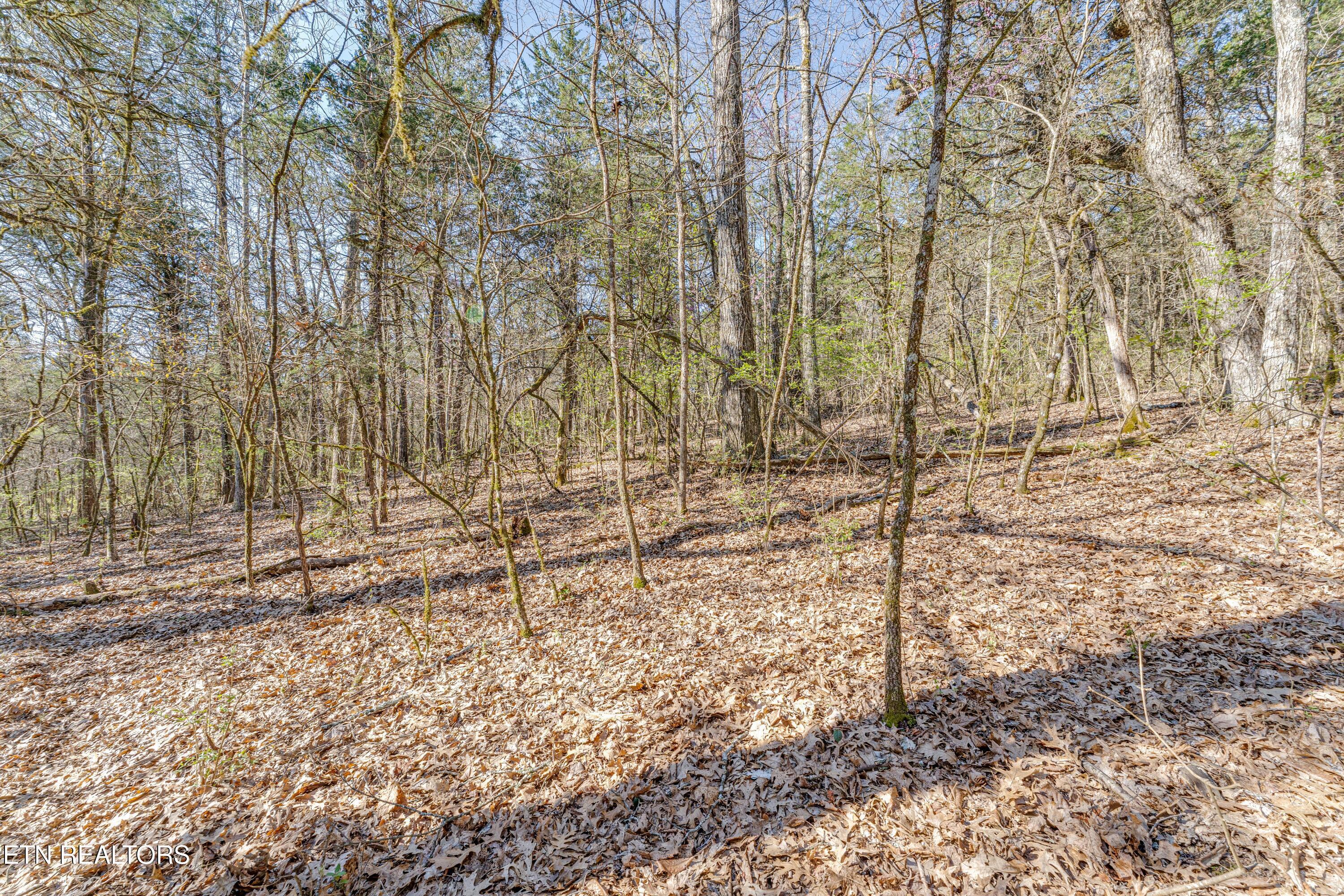 3725 Haven Hill Rd, Louisville, TN - Fort Loudoun and Tellico Lake Real Estate - Image# 25