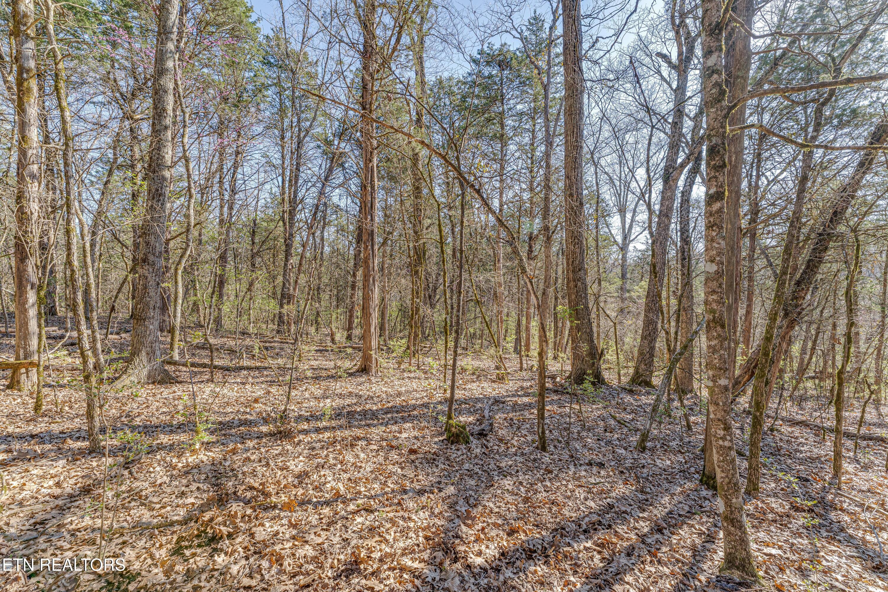 3725 Haven Hill Rd, Louisville, TN - Fort Loudoun and Tellico Lake Real Estate - Image# 26