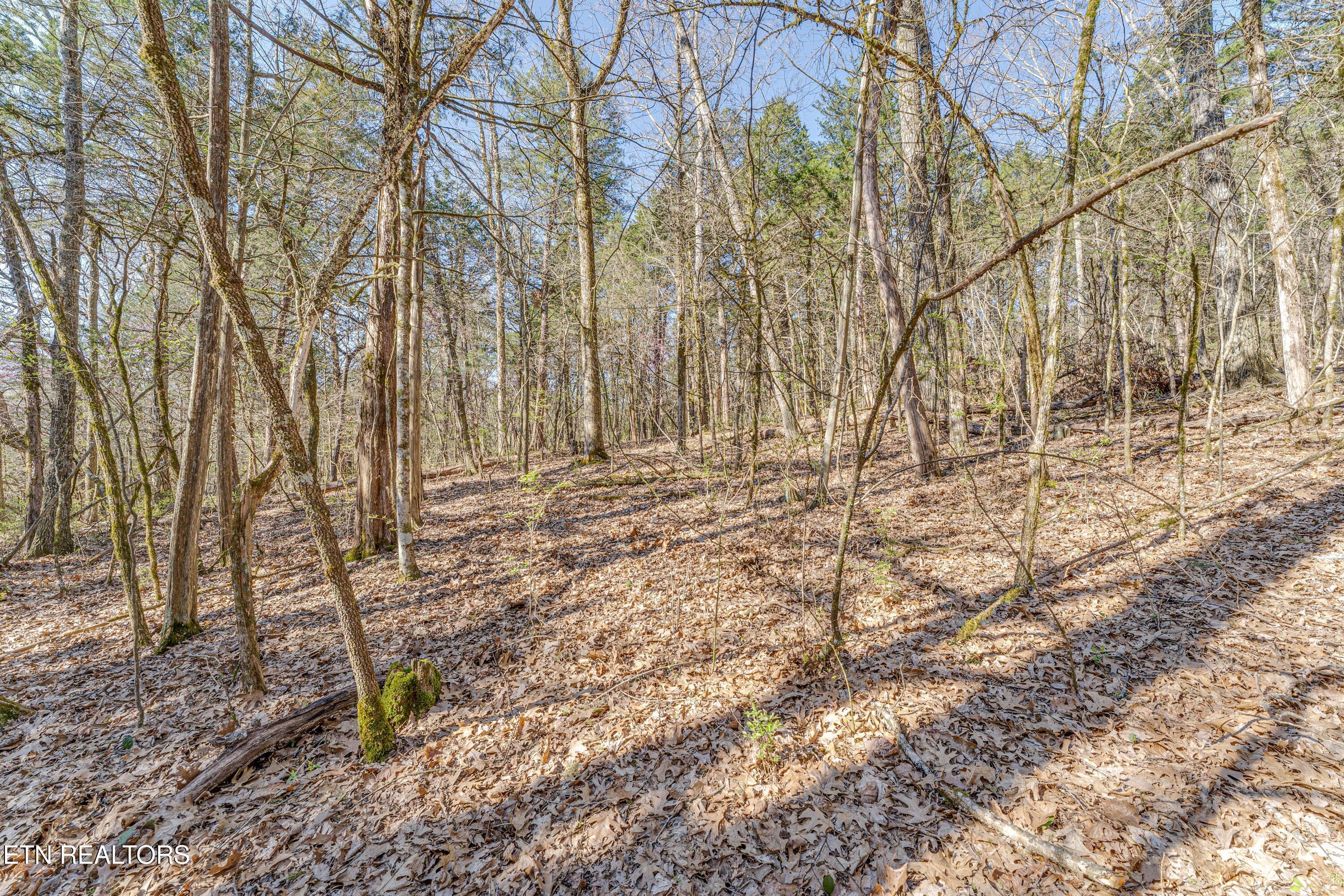 3725 Haven Hill Rd, Louisville, TN - Fort Loudoun and Tellico Lake Real Estate - Image# 27