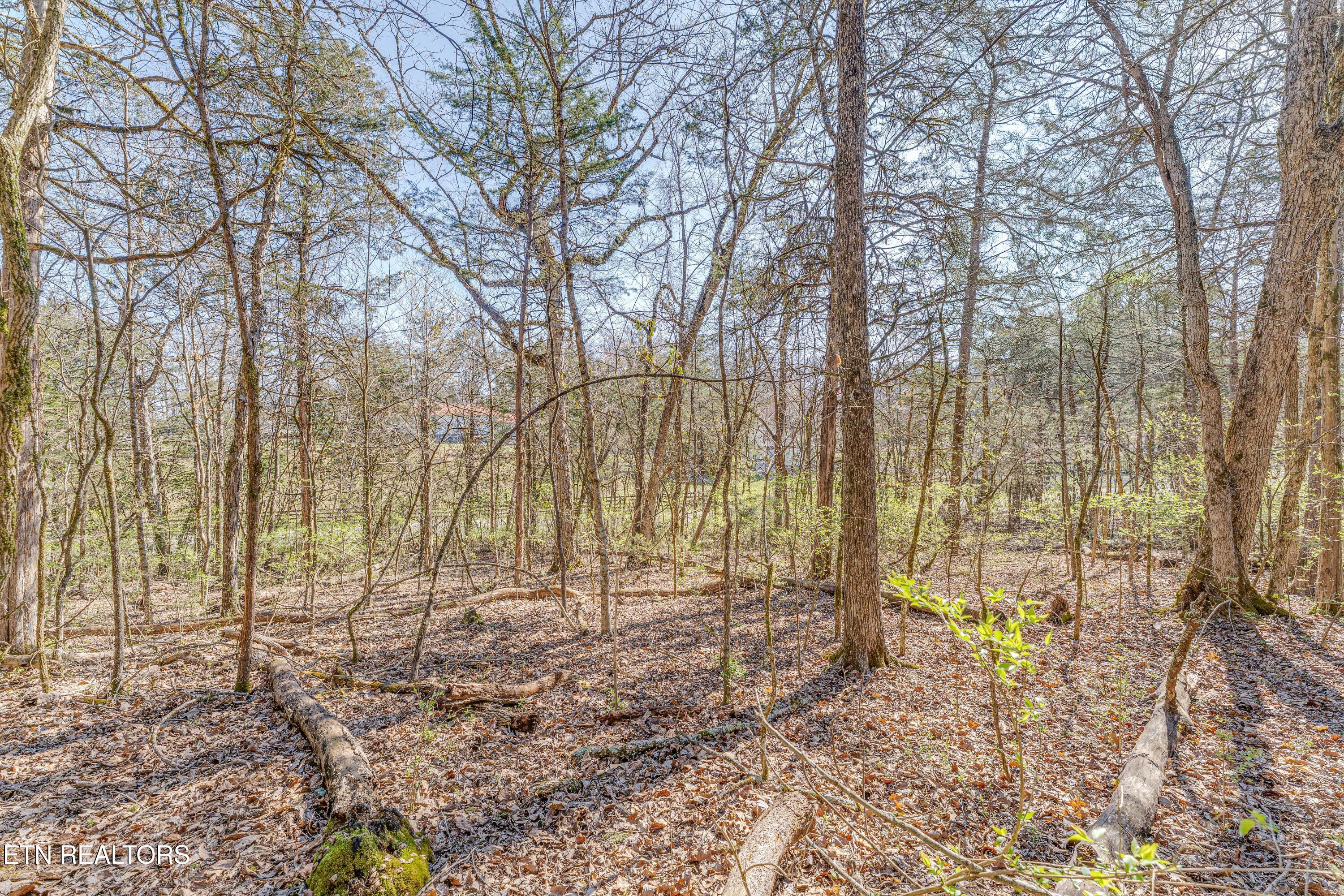3725 Haven Hill Rd, Louisville, TN - Fort Loudoun and Tellico Lake Real Estate - Image# 28