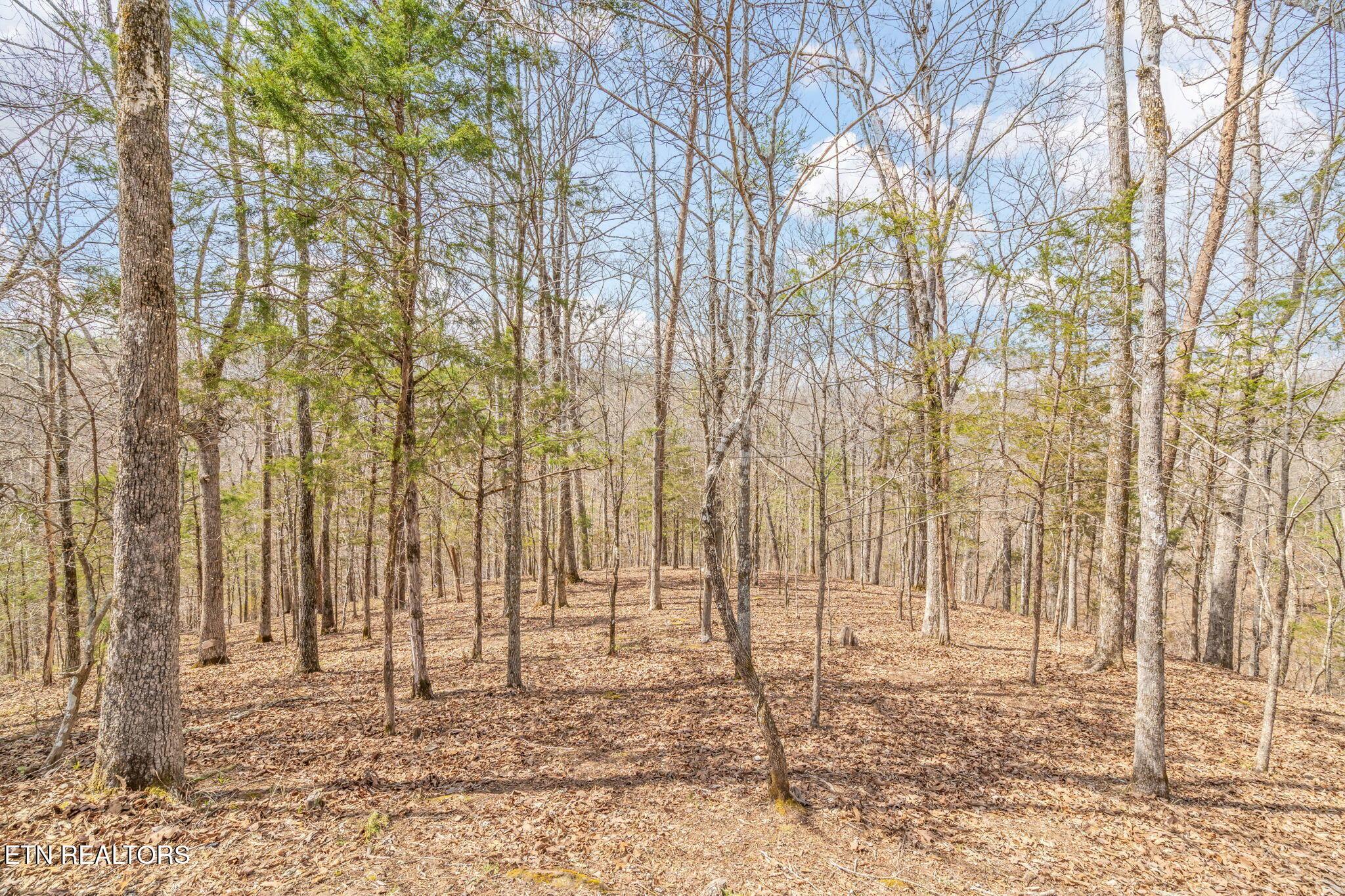 165 George Thomas Rd, Vonore, TN - Fort Loudoun and Tellico Lake Real Estate - Image# 45