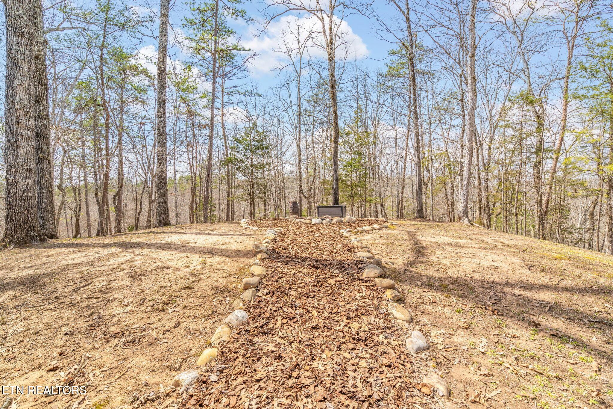 165 George Thomas Rd, Vonore, TN - Fort Loudoun and Tellico Lake Real Estate - Image# 51