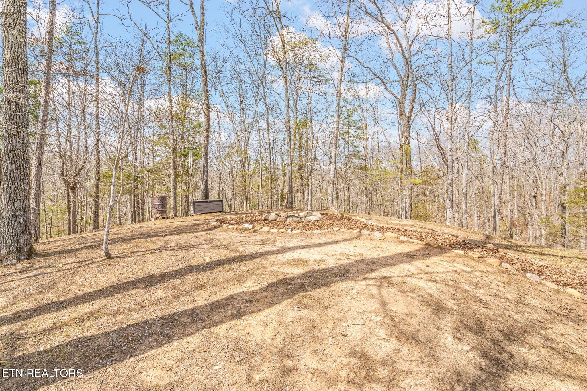 165 George Thomas Rd, Vonore, TN - Fort Loudoun and Tellico Lake Real Estate - Image# 58