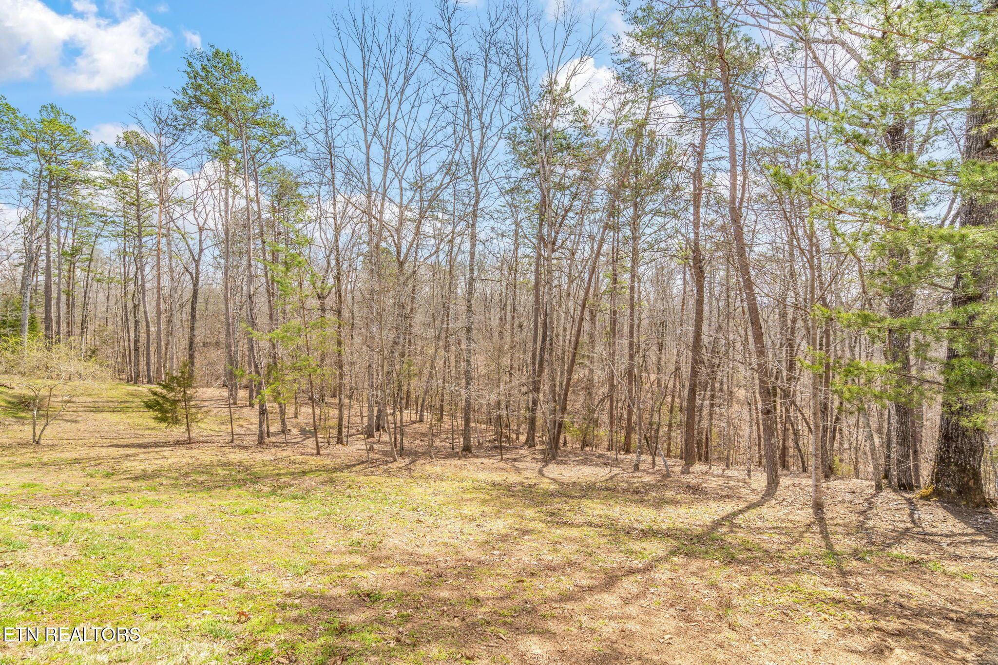 165 George Thomas Rd, Vonore, TN - Fort Loudoun and Tellico Lake Real Estate - Image# 59