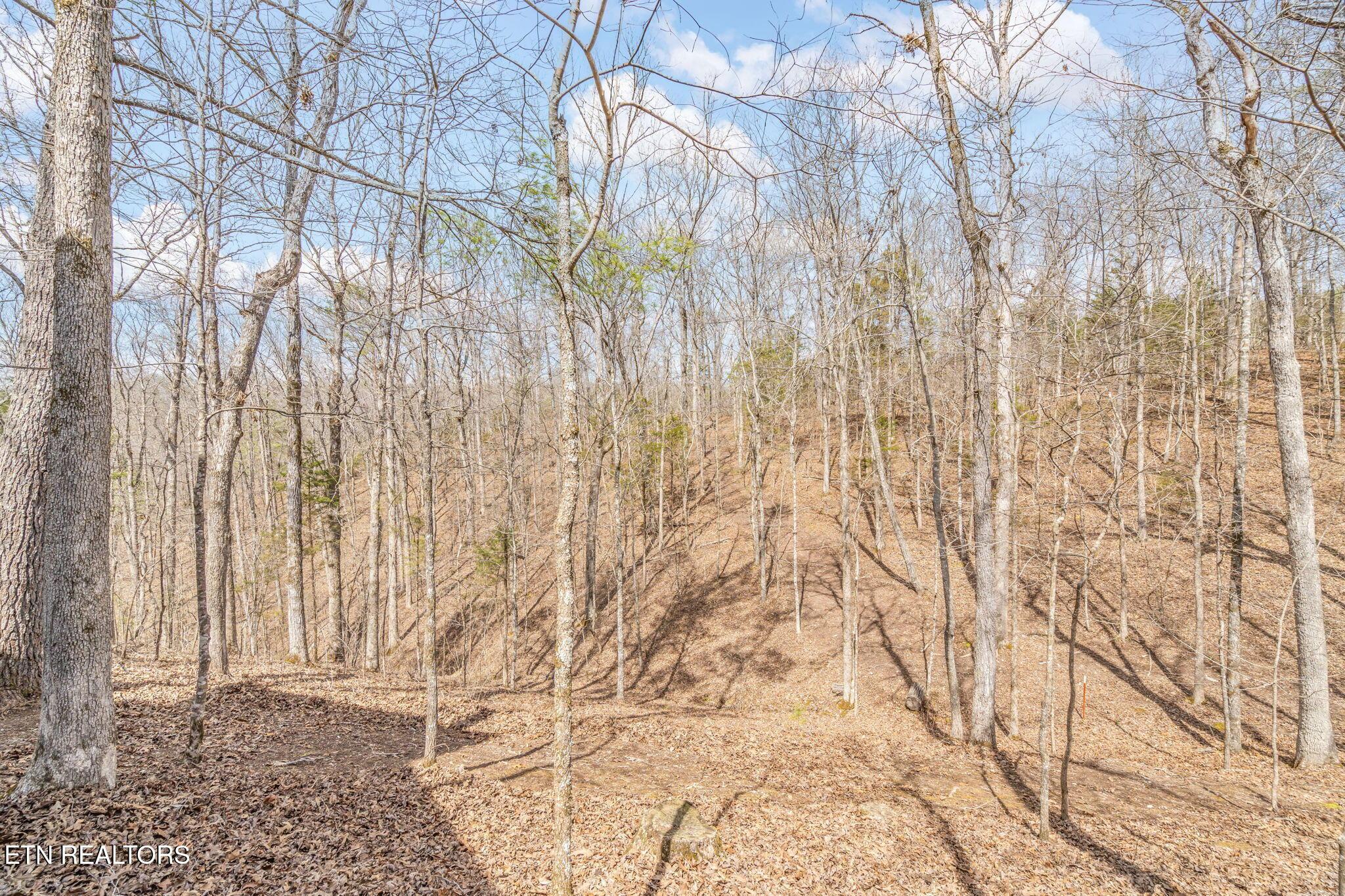 165 George Thomas Rd, Vonore, TN - Fort Loudoun and Tellico Lake Real Estate - Image# 60