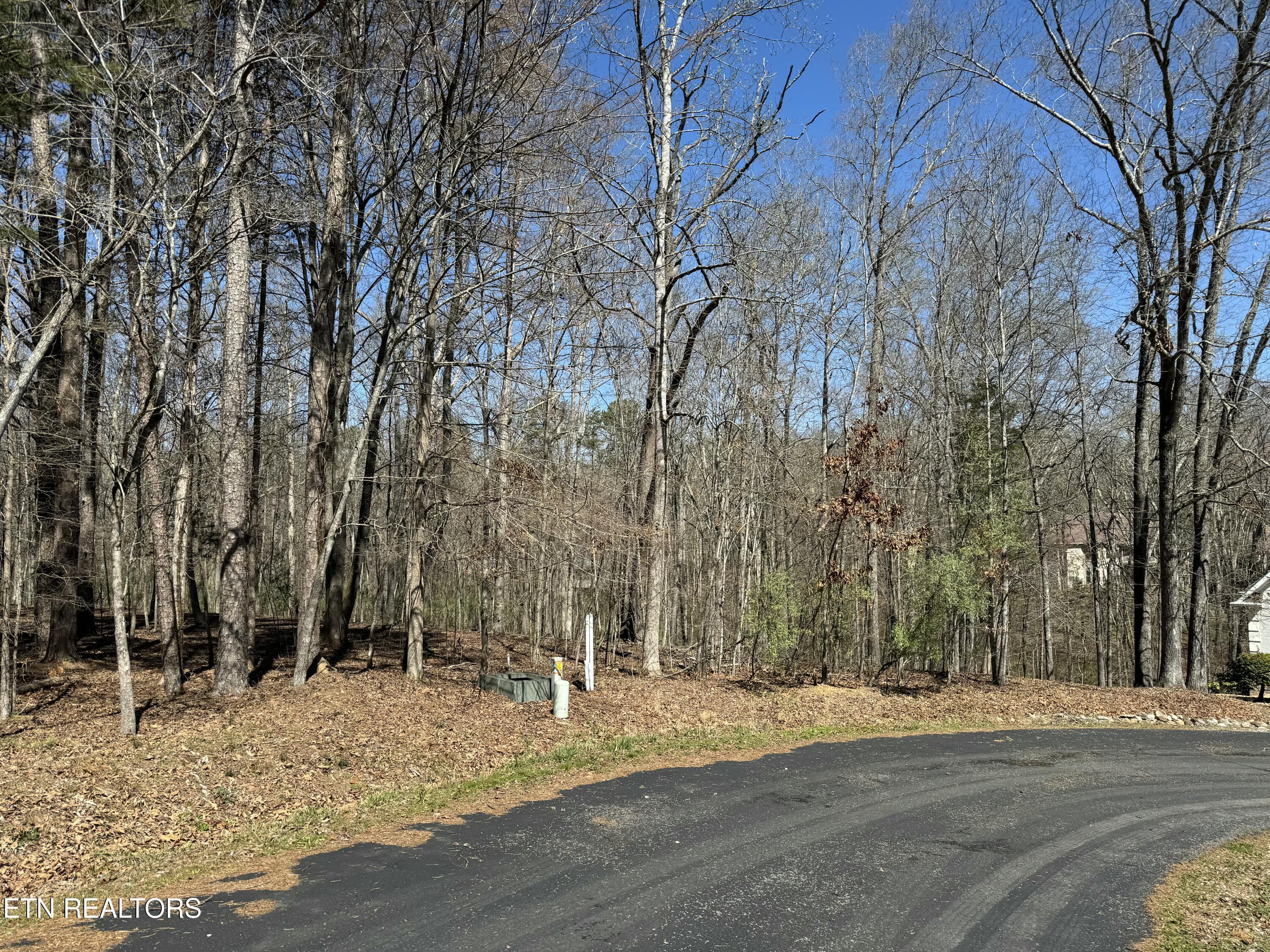 216 Erick Lane, Loudon, TN - Fort Loudoun and Tellico Lake Real Estate - Image# 3