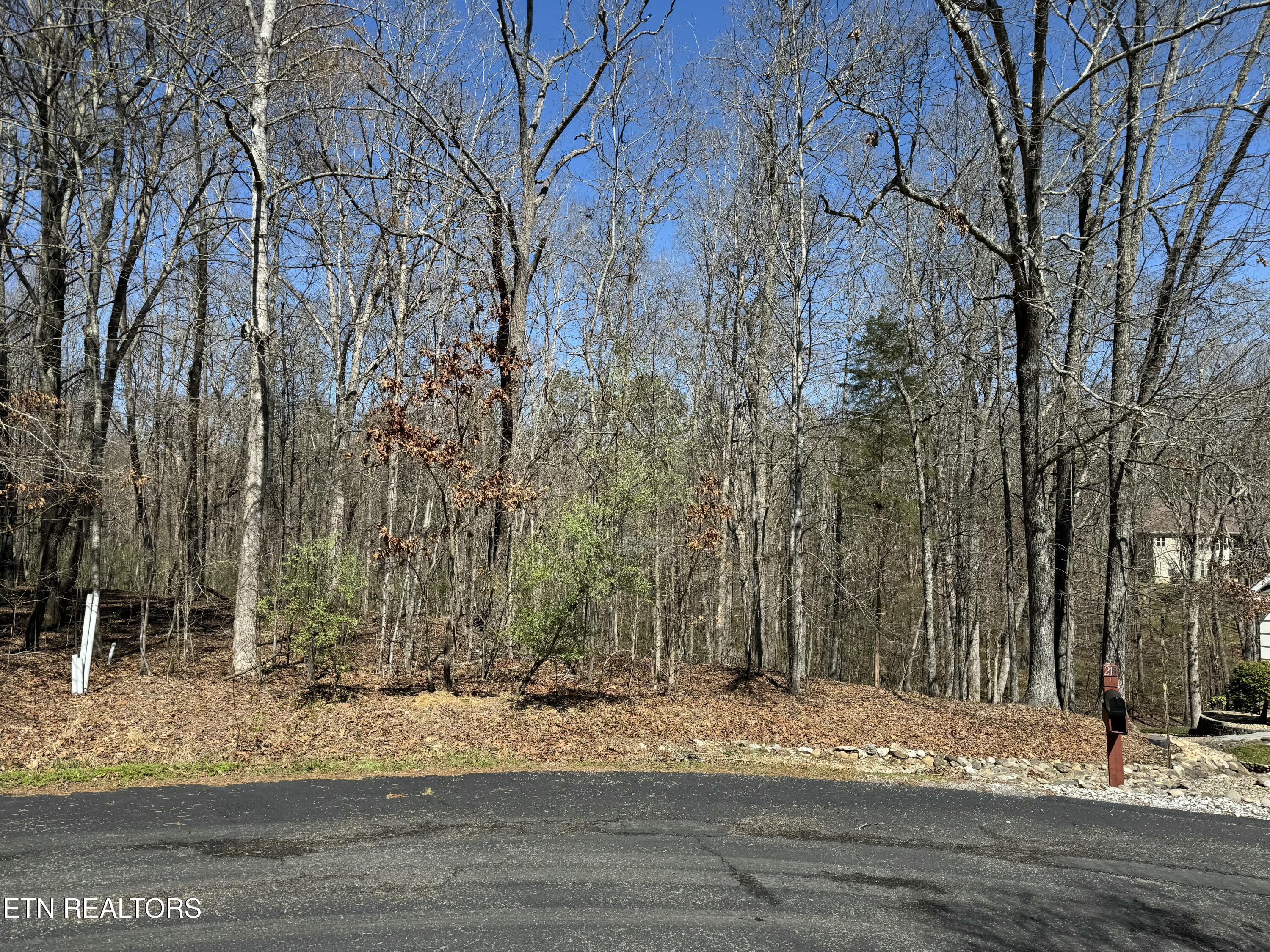 216 Erick Lane, Loudon, TN - Fort Loudoun and Tellico Lake Real Estate - Image# 1