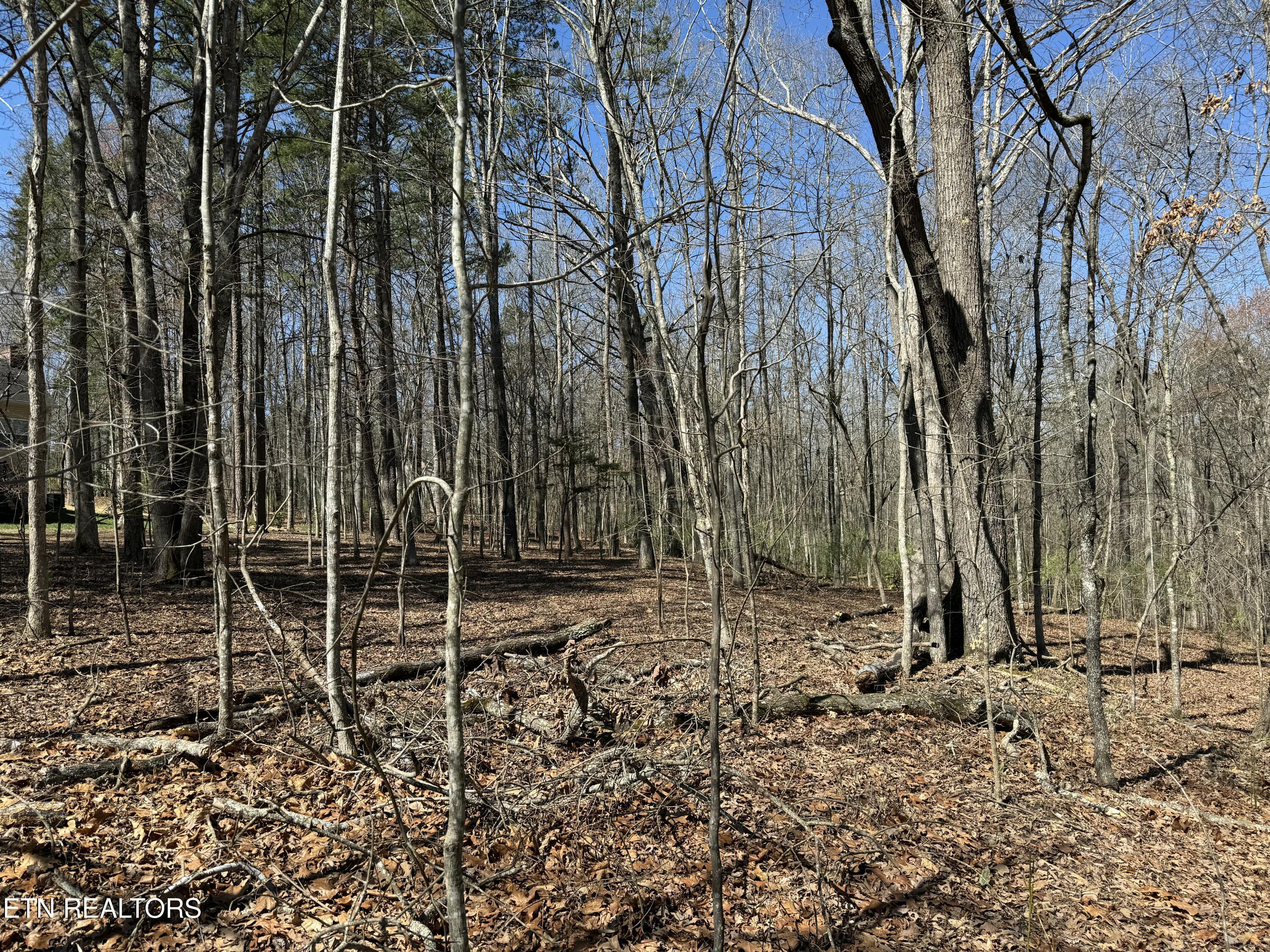 216 Erick Lane, Loudon, TN - Fort Loudoun and Tellico Lake Real Estate - Image# 4