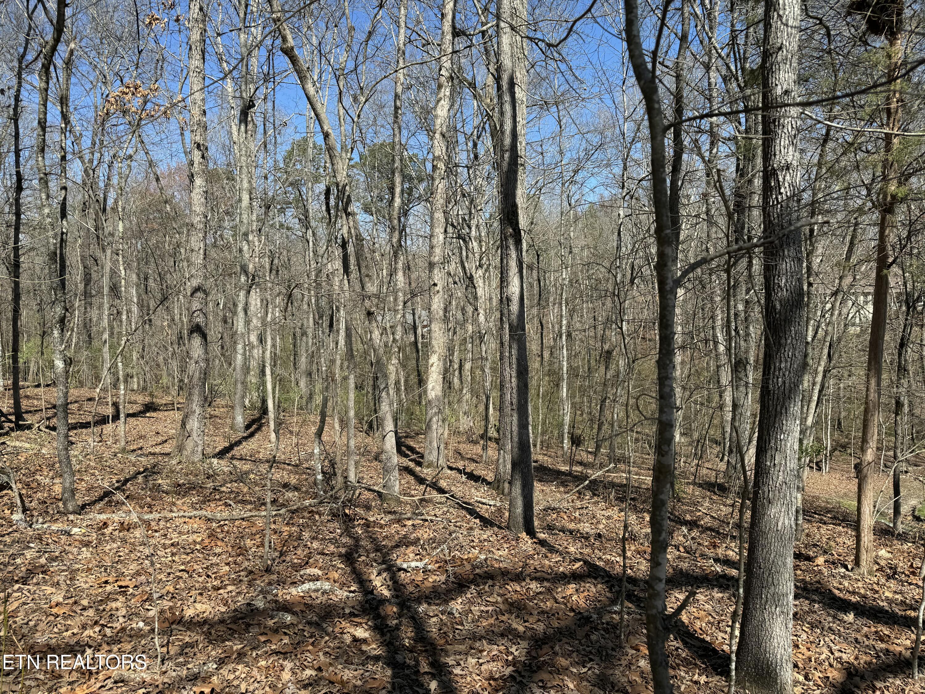 216 Erick Lane, Loudon, TN - Fort Loudoun and Tellico Lake Real Estate - Image# 5