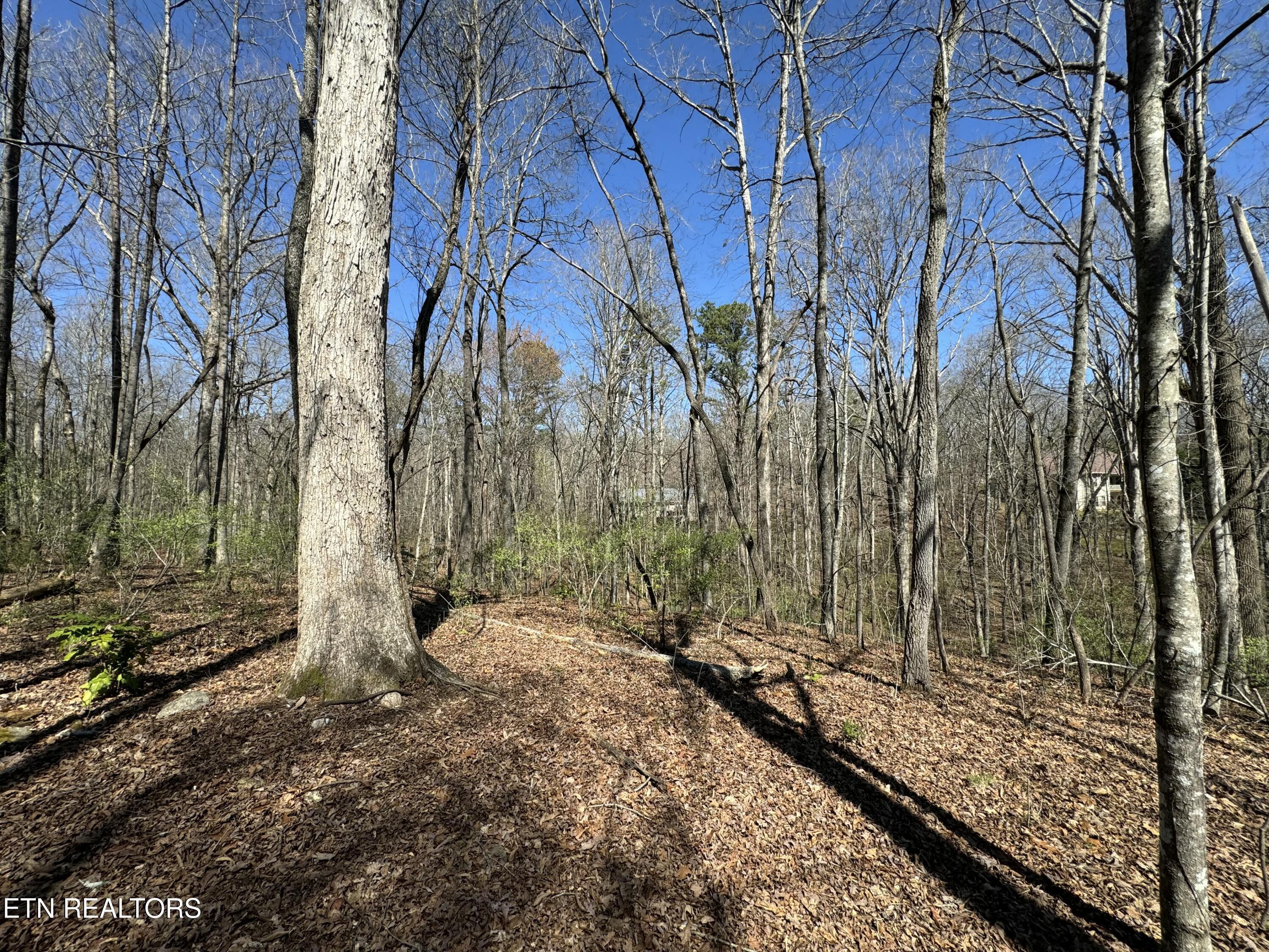 216 Erick Lane, Loudon, TN - Fort Loudoun and Tellico Lake Real Estate - Image# 6