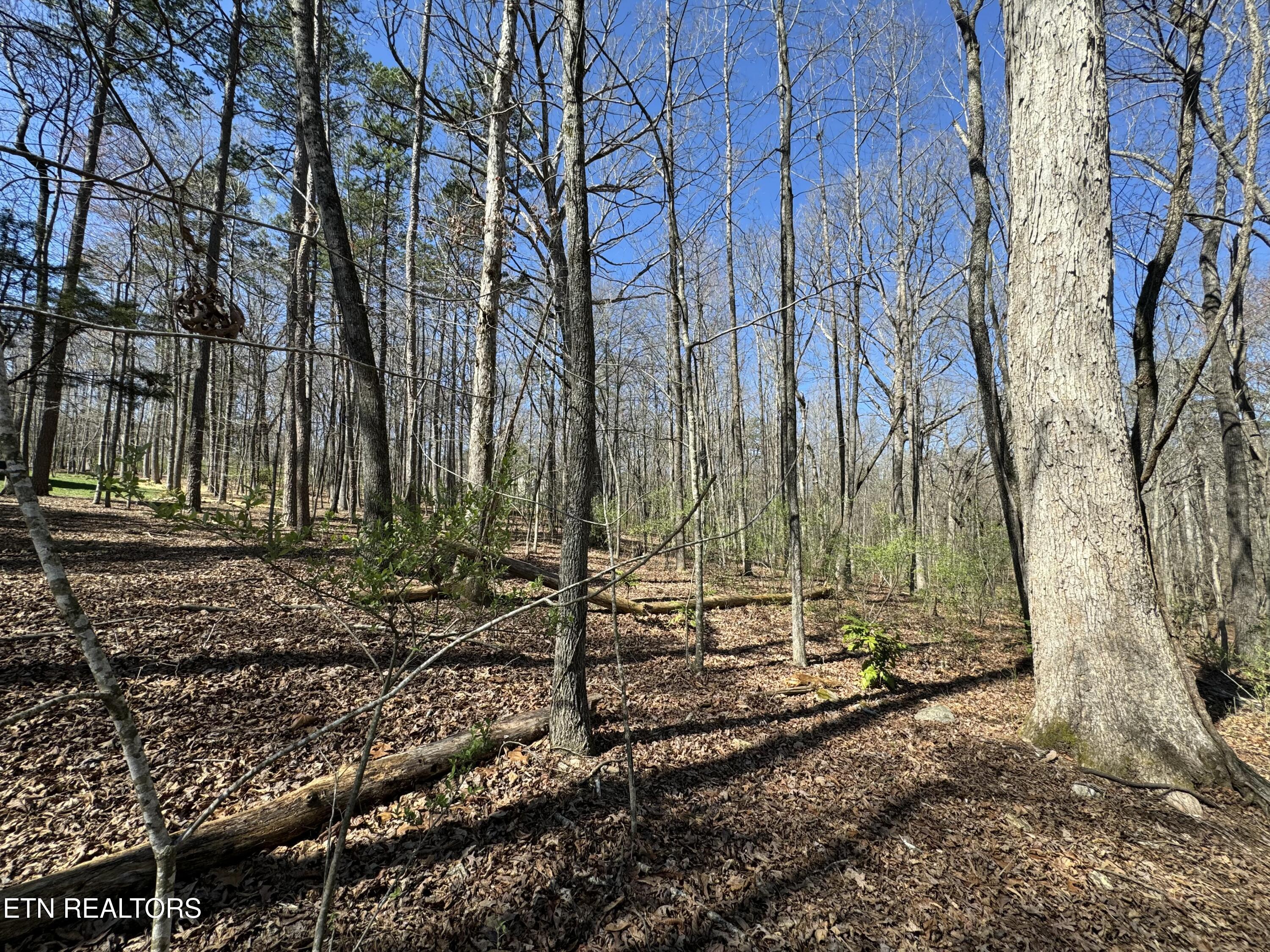 216 Erick Lane, Loudon, TN - Fort Loudoun and Tellico Lake Real Estate - Image# 7