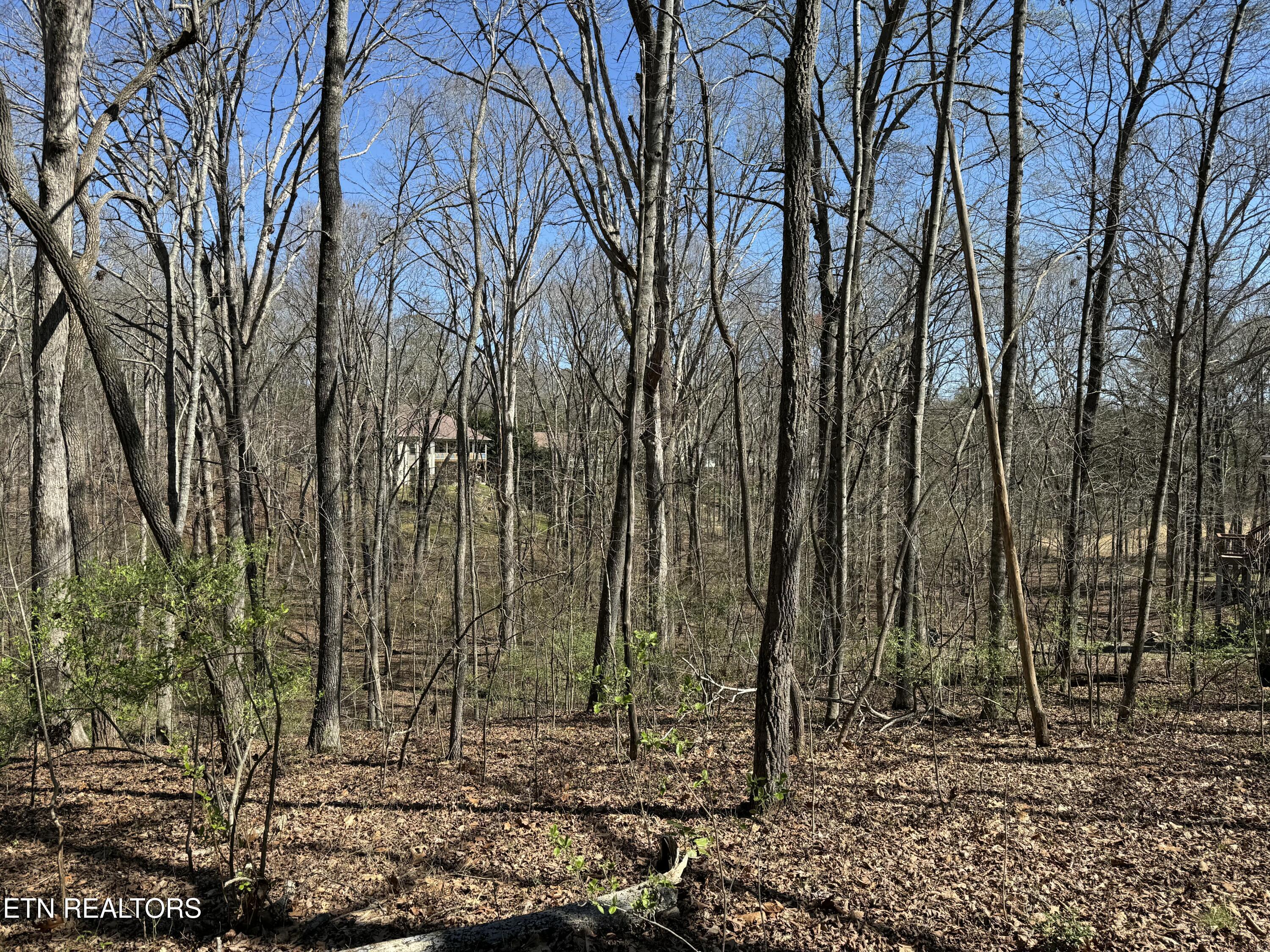 216 Erick Lane, Loudon, TN - Fort Loudoun and Tellico Lake Real Estate - Image# 8