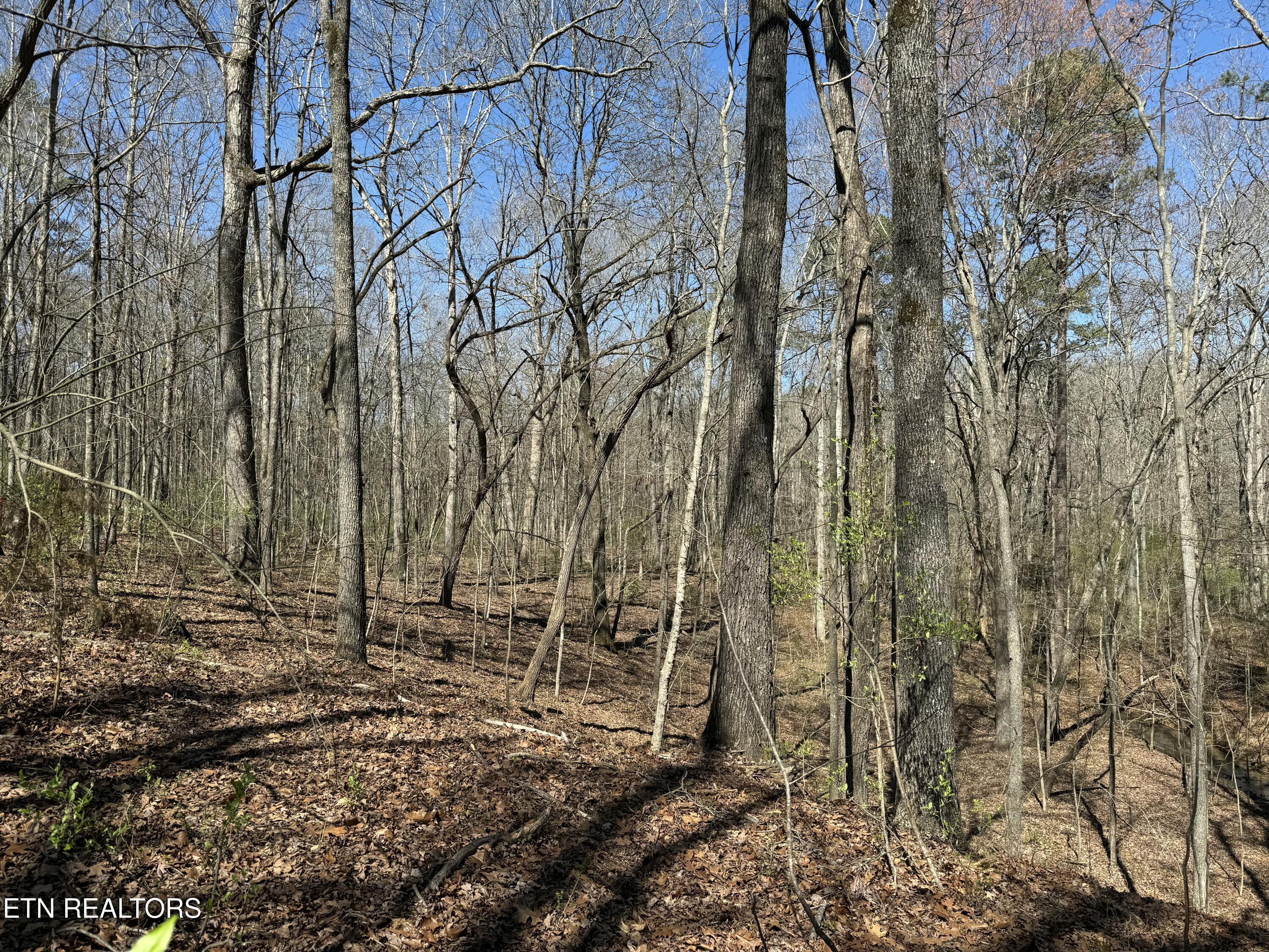 216 Erick Lane, Loudon, TN - Fort Loudoun and Tellico Lake Real Estate - Image# 9