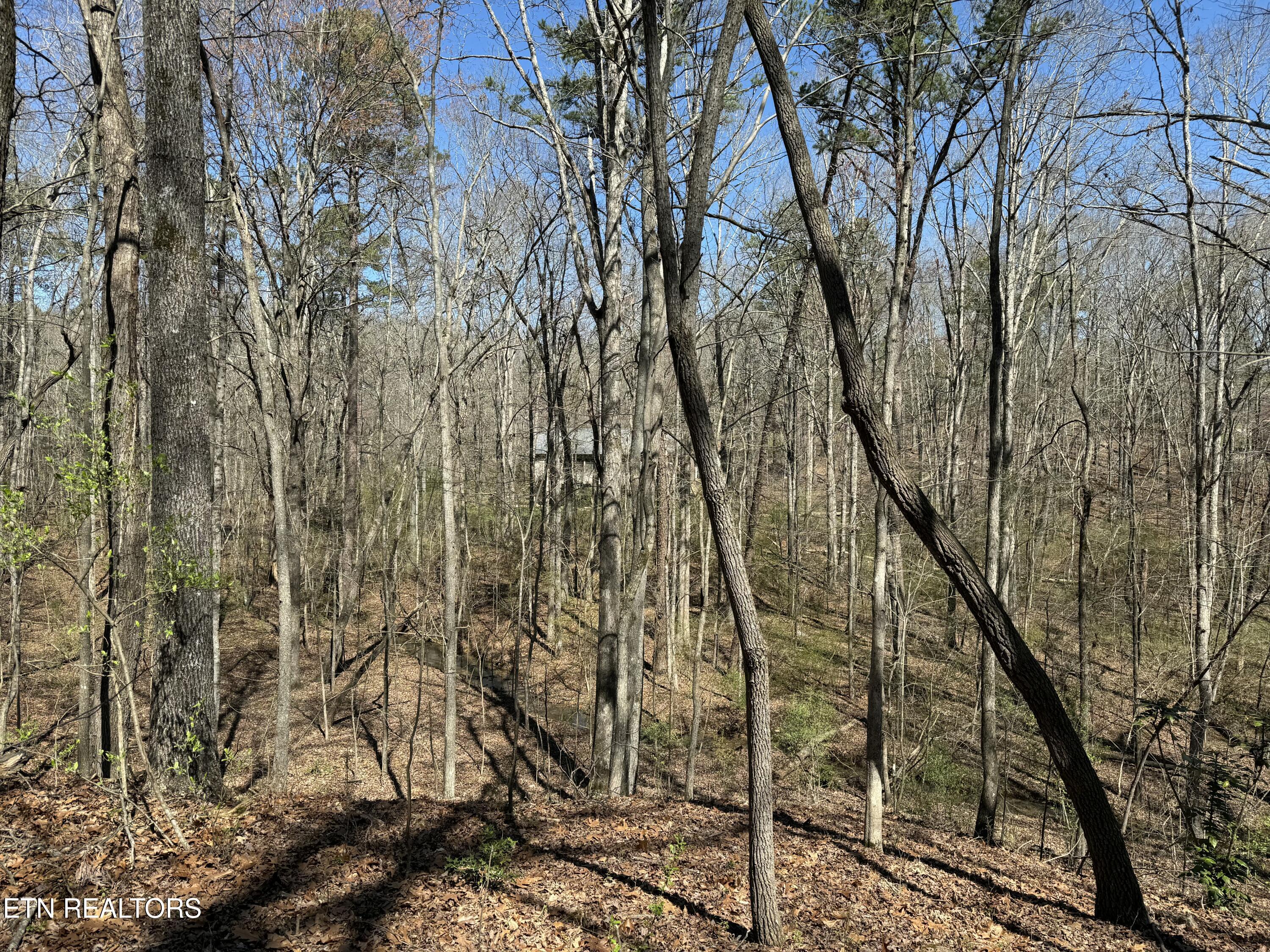 216 Erick Lane, Loudon, TN - Fort Loudoun and Tellico Lake Real Estate - Image# 10
