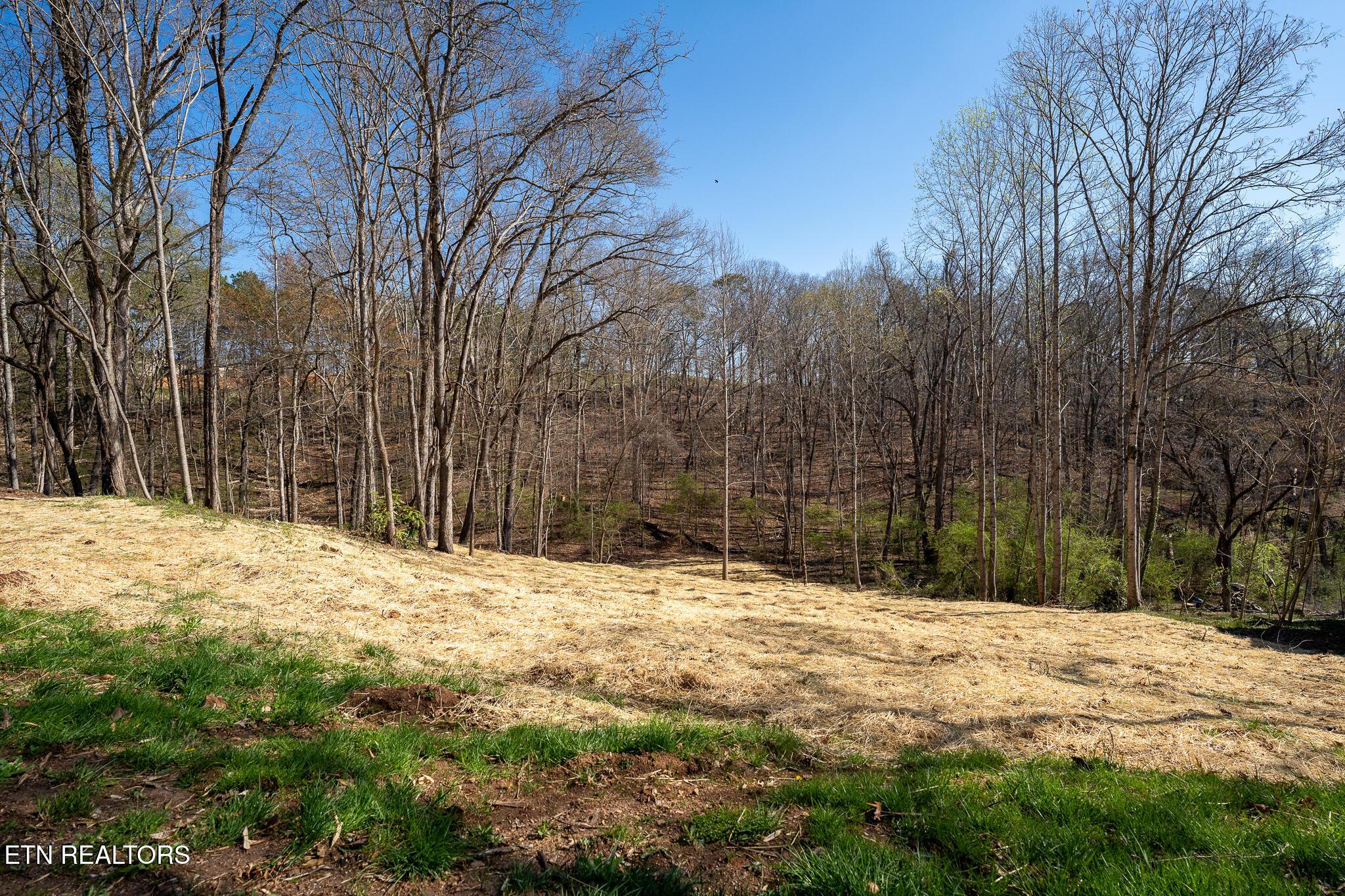 800 Lake Forest Drive, Lenoir City, TN - Fort Loudoun and Tellico Lake Real Estate - Image# 12