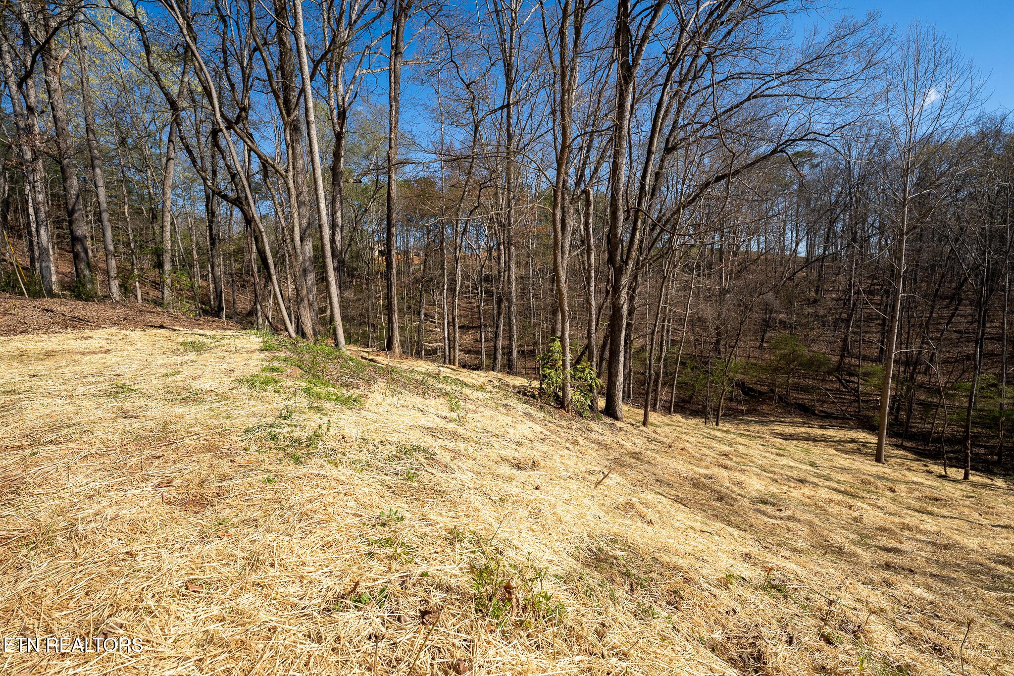 800 Lake Forest Drive, Lenoir City, TN - Fort Loudoun and Tellico Lake Real Estate - Image# 4