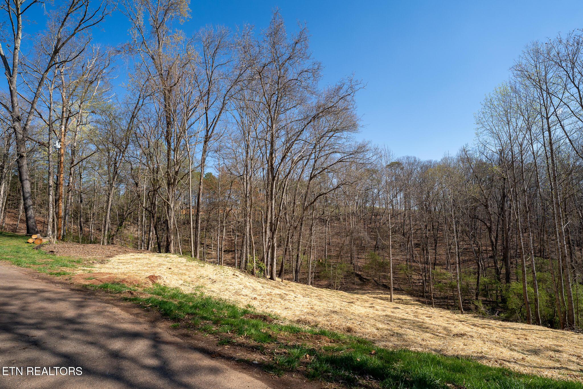 800 Lake Forest Drive, Lenoir City, TN - Fort Loudoun and Tellico Lake Real Estate - Image# 15