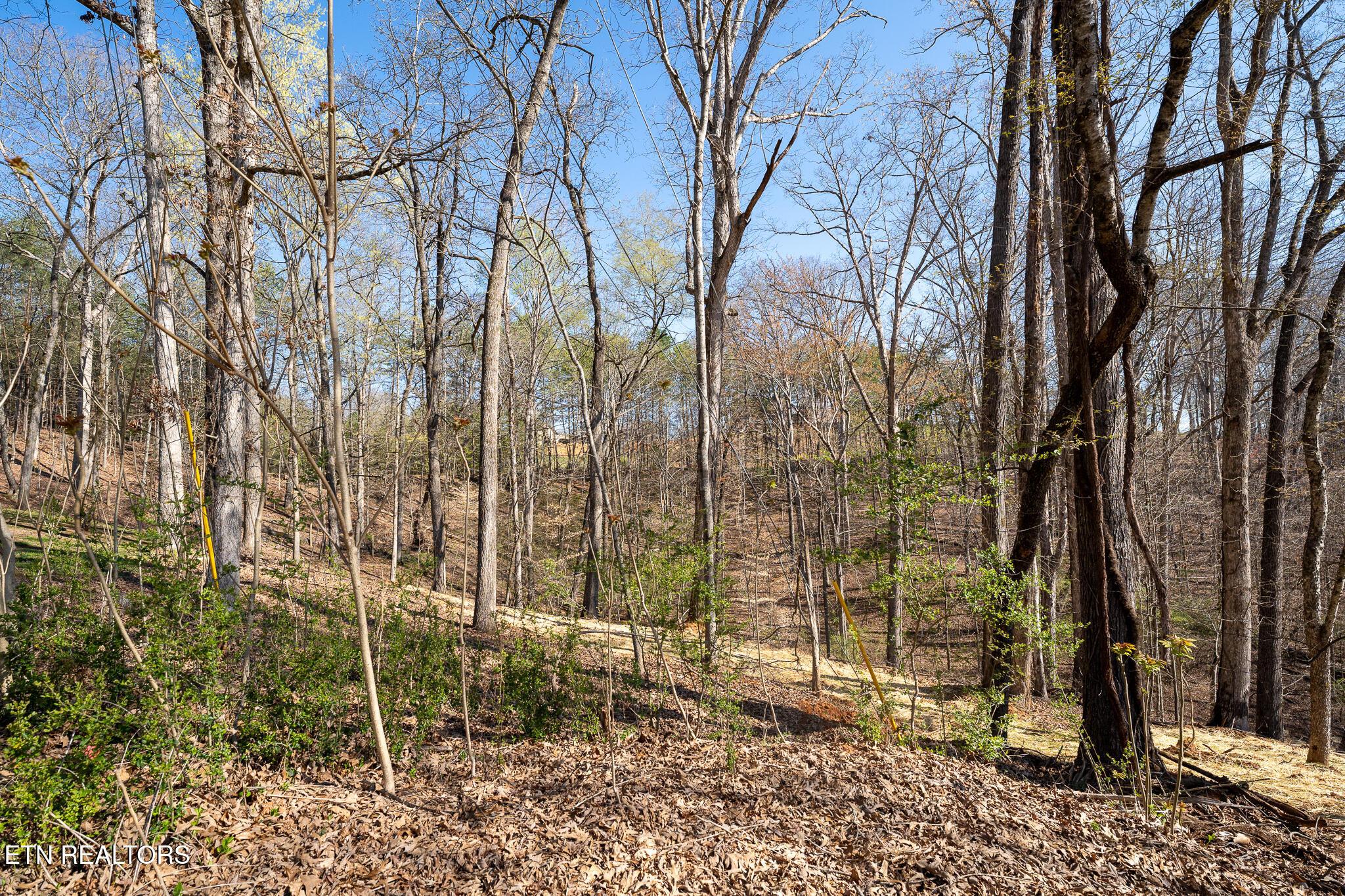 800 Lake Forest Drive, Lenoir City, TN - Fort Loudoun and Tellico Lake Real Estate - Image# 8