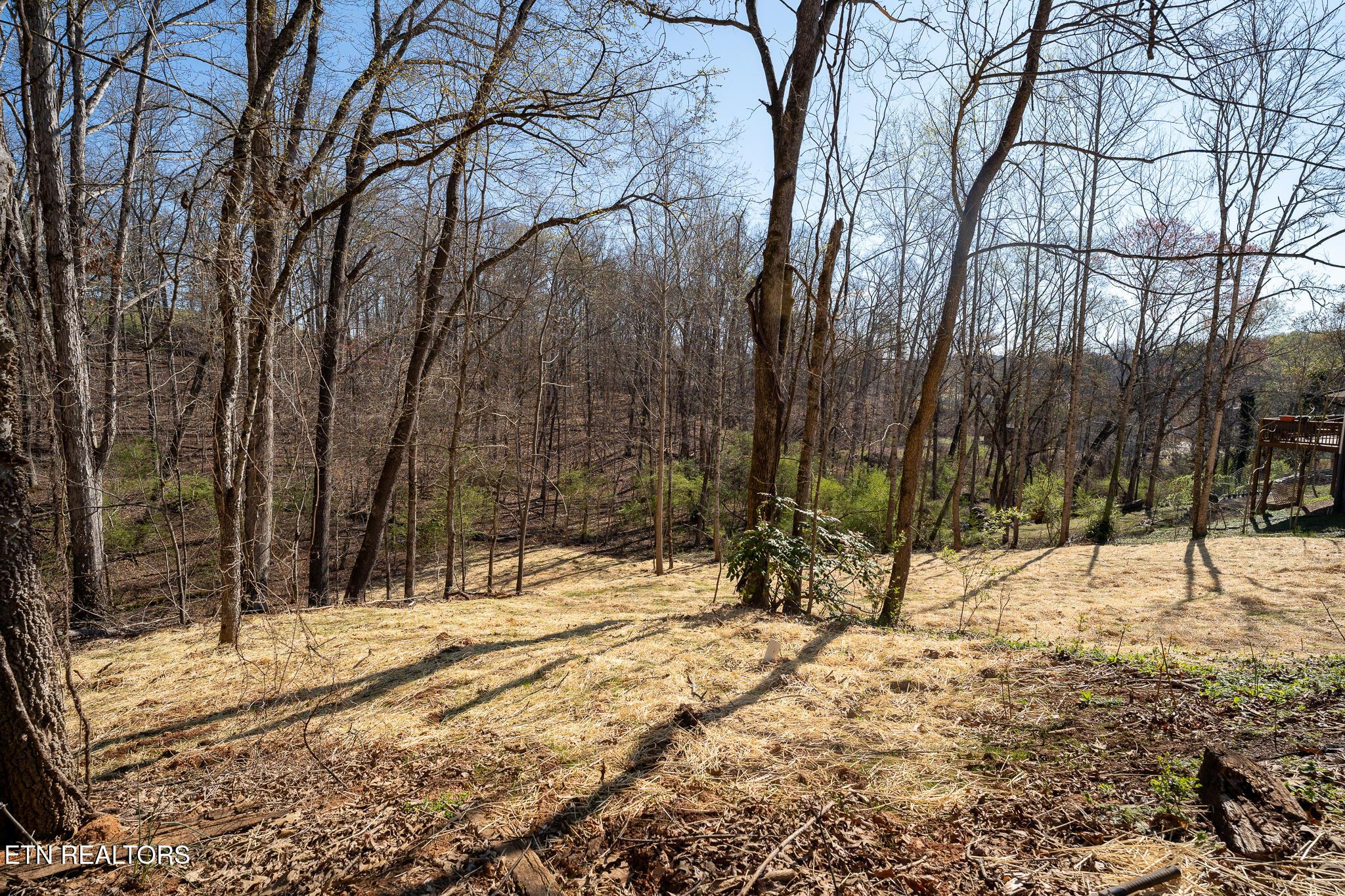 800 Lake Forest Drive, Lenoir City, TN - Fort Loudoun and Tellico Lake Real Estate - Image# 16