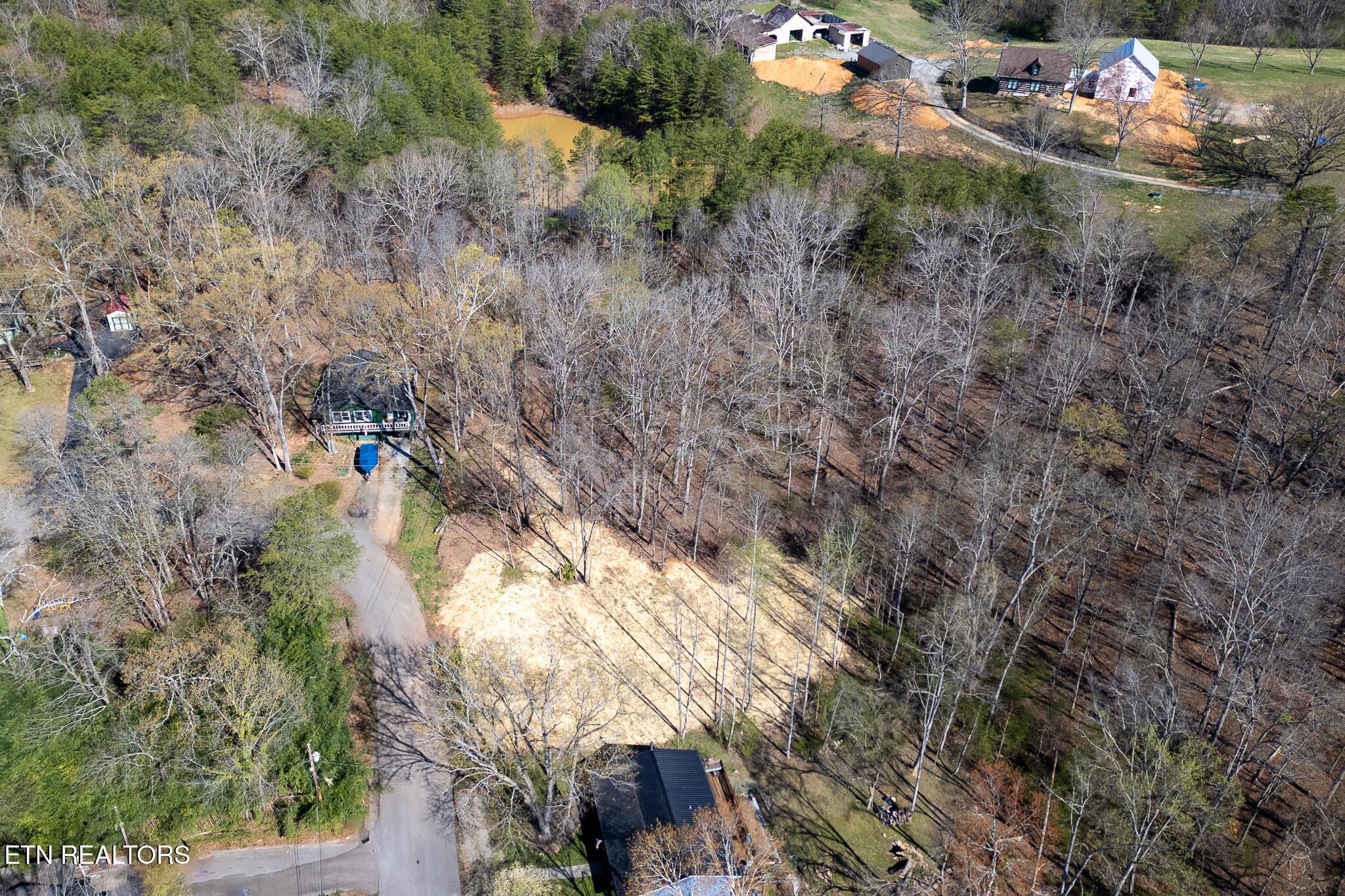 800 Lake Forest Drive, Lenoir City, TN - Fort Loudoun and Tellico Lake Real Estate - Image# 9