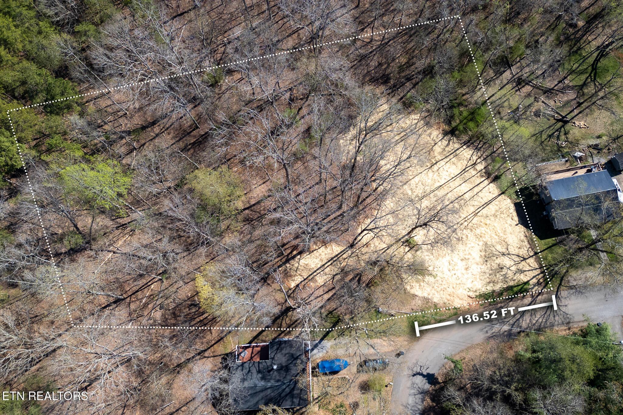 800 Lake Forest Drive, Lenoir City, TN - Fort Loudoun and Tellico Lake Real Estate - Image# 6