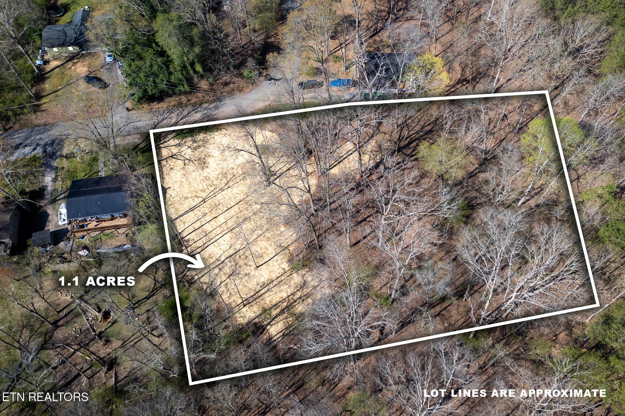 800 Lake Forest Drive, Lenoir City, TN - Fort Loudoun and Tellico Lake Real Estate - Image# 3