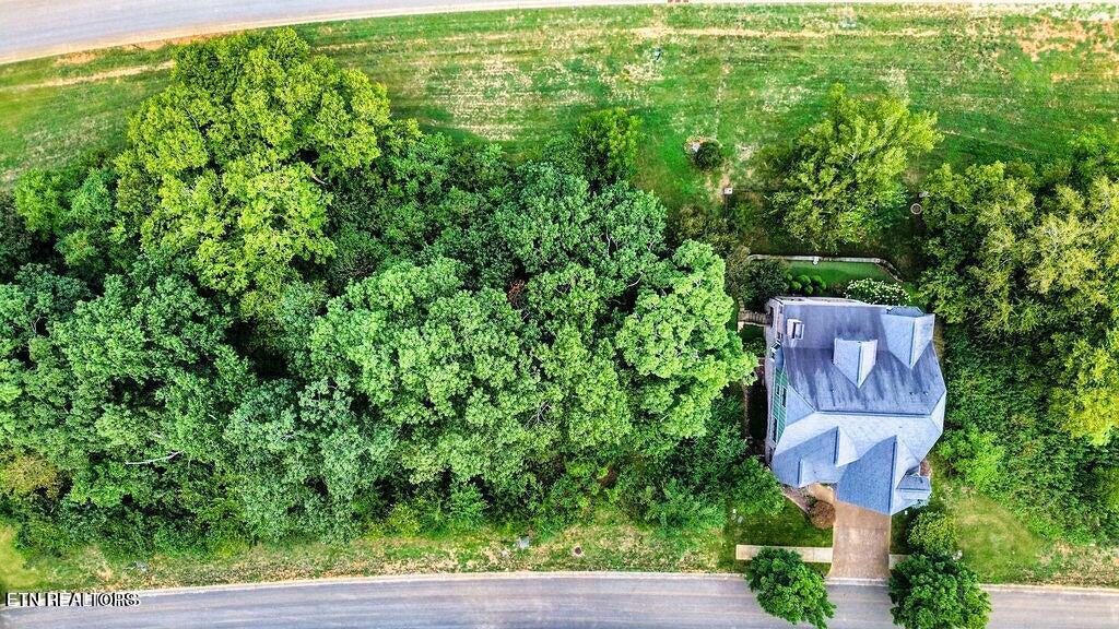 651 Black Cove Lane, Loudon, TN - Fort Loudoun and Tellico Lake Real Estate - Image# 3