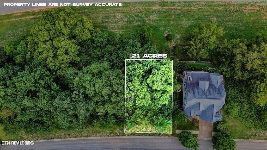 651 Black Cove Lane, Loudon, TN - Fort Loudoun and Tellico Lake Real Estate - Image# 4