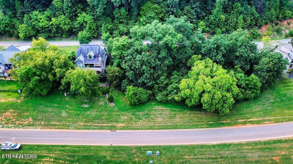 651 Black Cove Lane, Loudon, TN - Fort Loudoun and Tellico Lake Real Estate - Image# 7