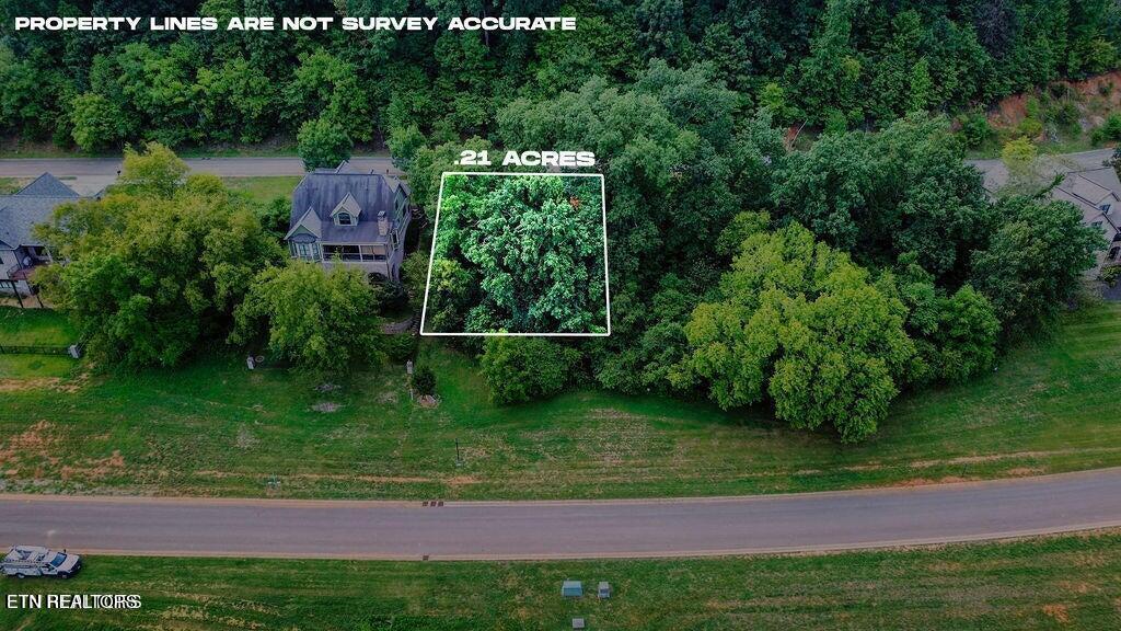 651 Black Cove Lane, Loudon, TN - Fort Loudoun and Tellico Lake Real Estate - Image# 8