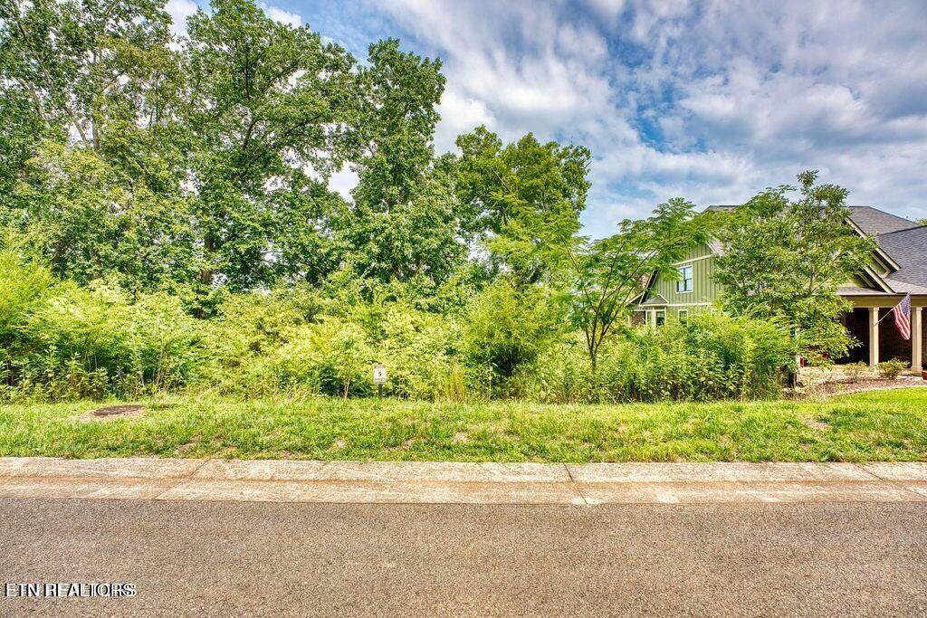 651 Black Cove Lane, Loudon, TN - Fort Loudoun and Tellico Lake Real Estate - Image# 14