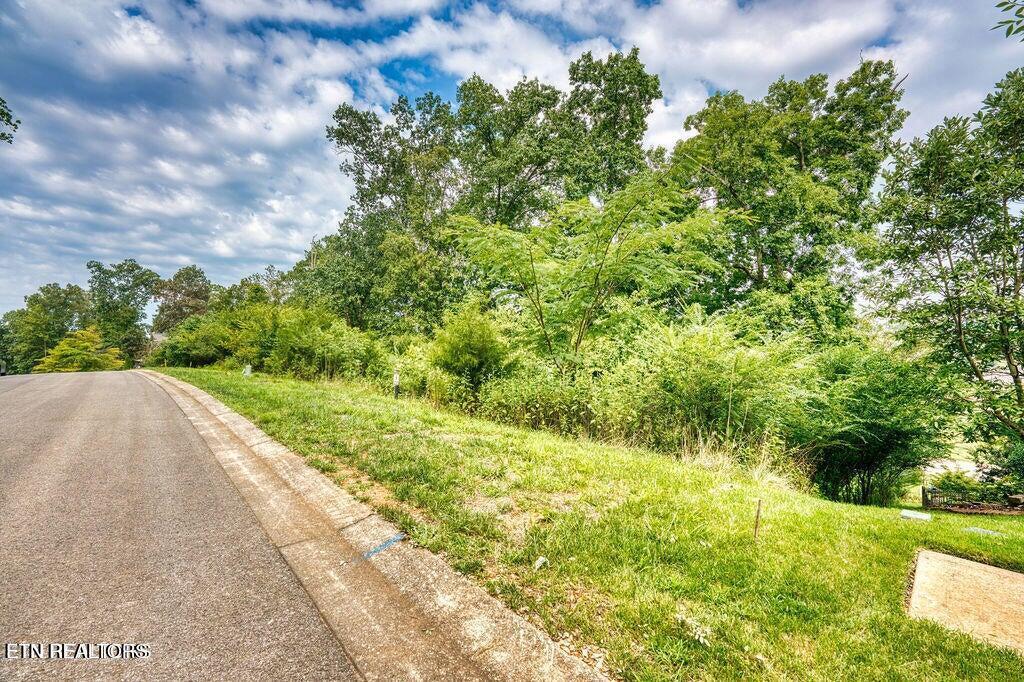 651 Black Cove Lane, Loudon, TN - Fort Loudoun and Tellico Lake Real Estate - Image# 15